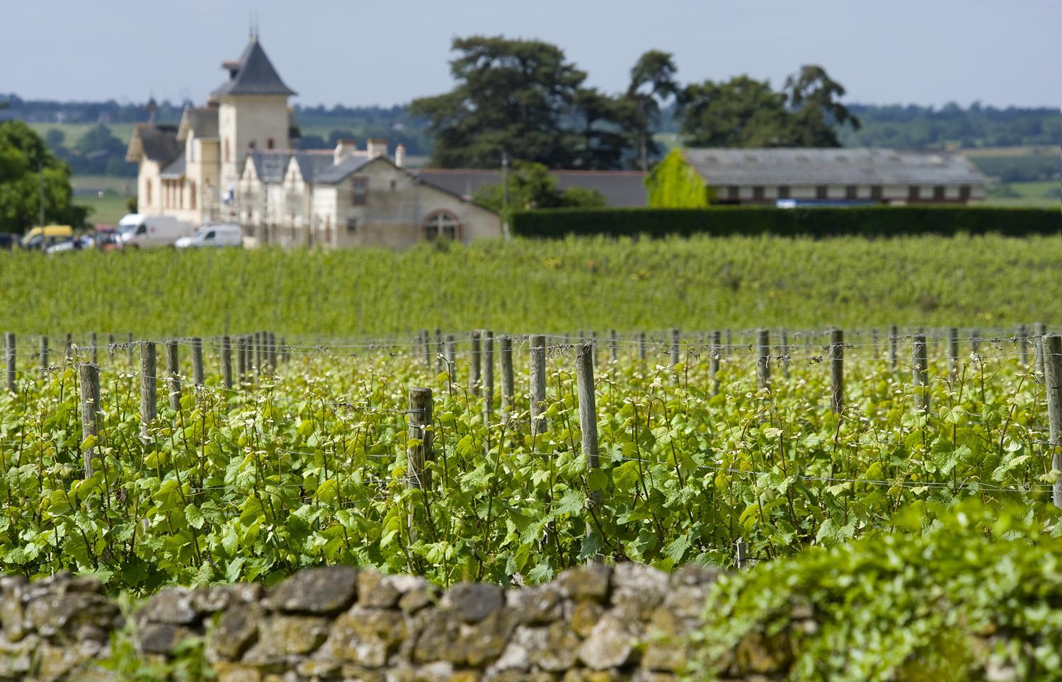 Domaine de la Soucherie - Chambres d'hôtes view 3