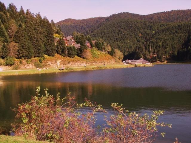 Photo 31