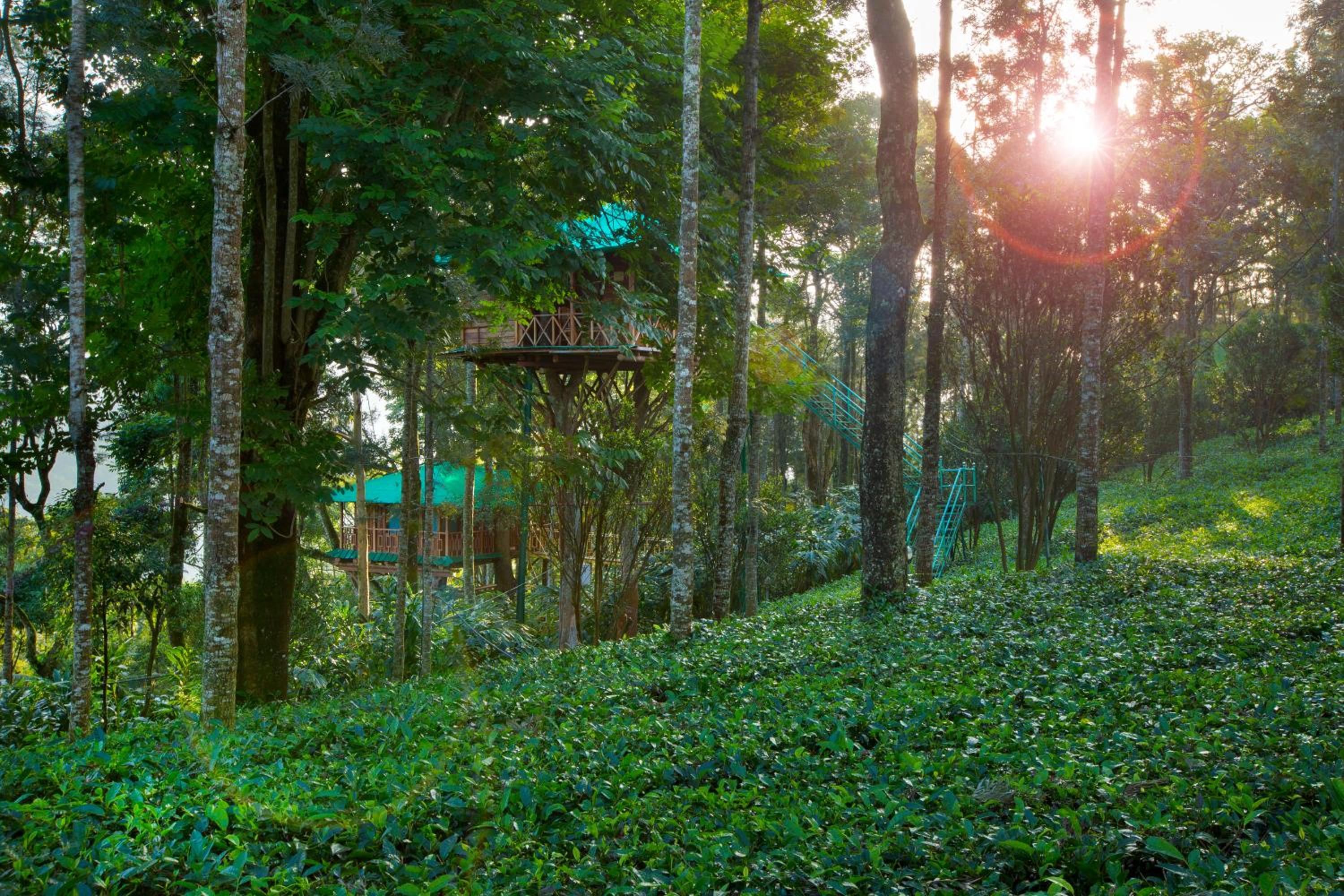 Dream Catcher Plantation Resort
