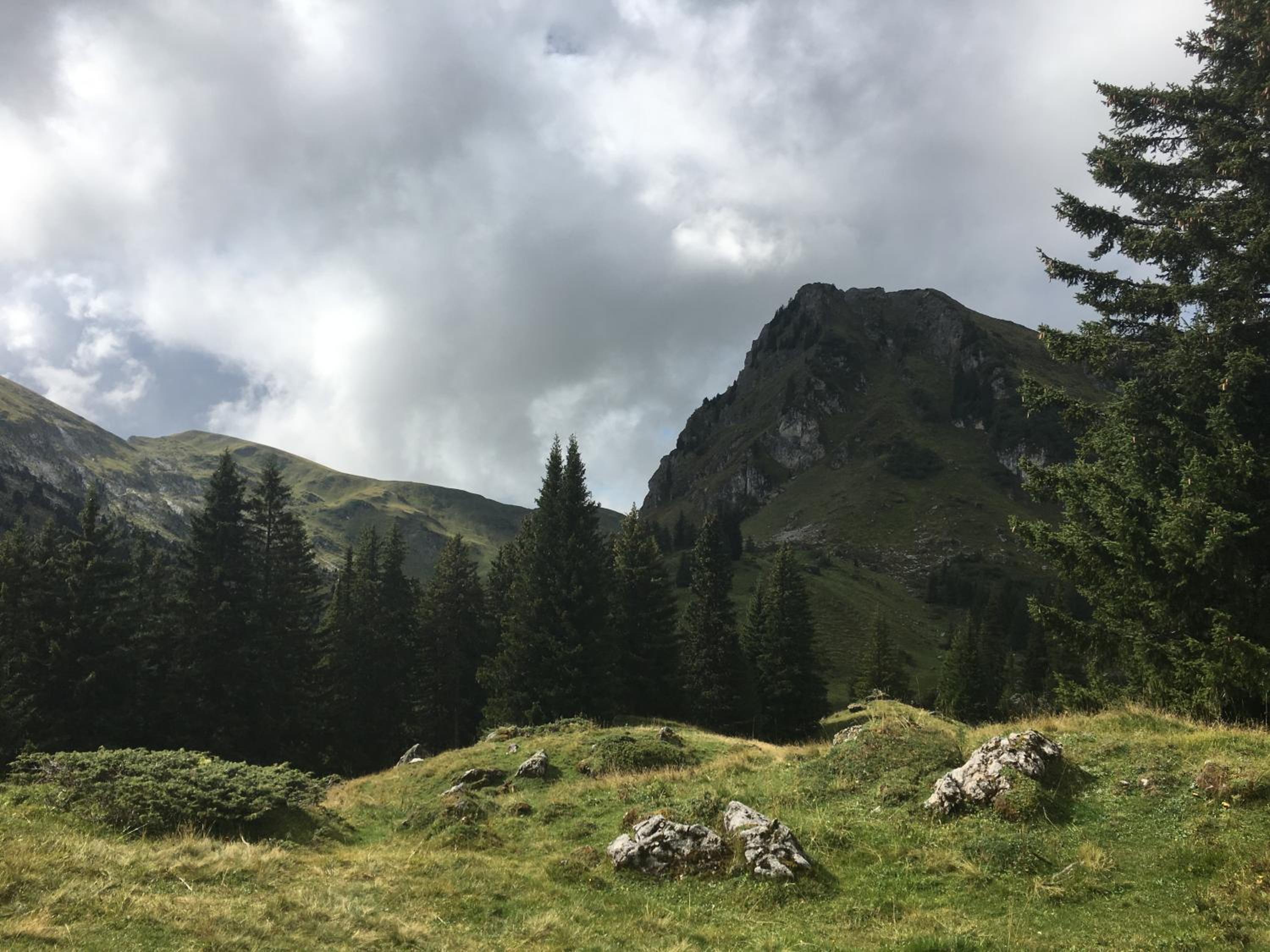 Photo 28