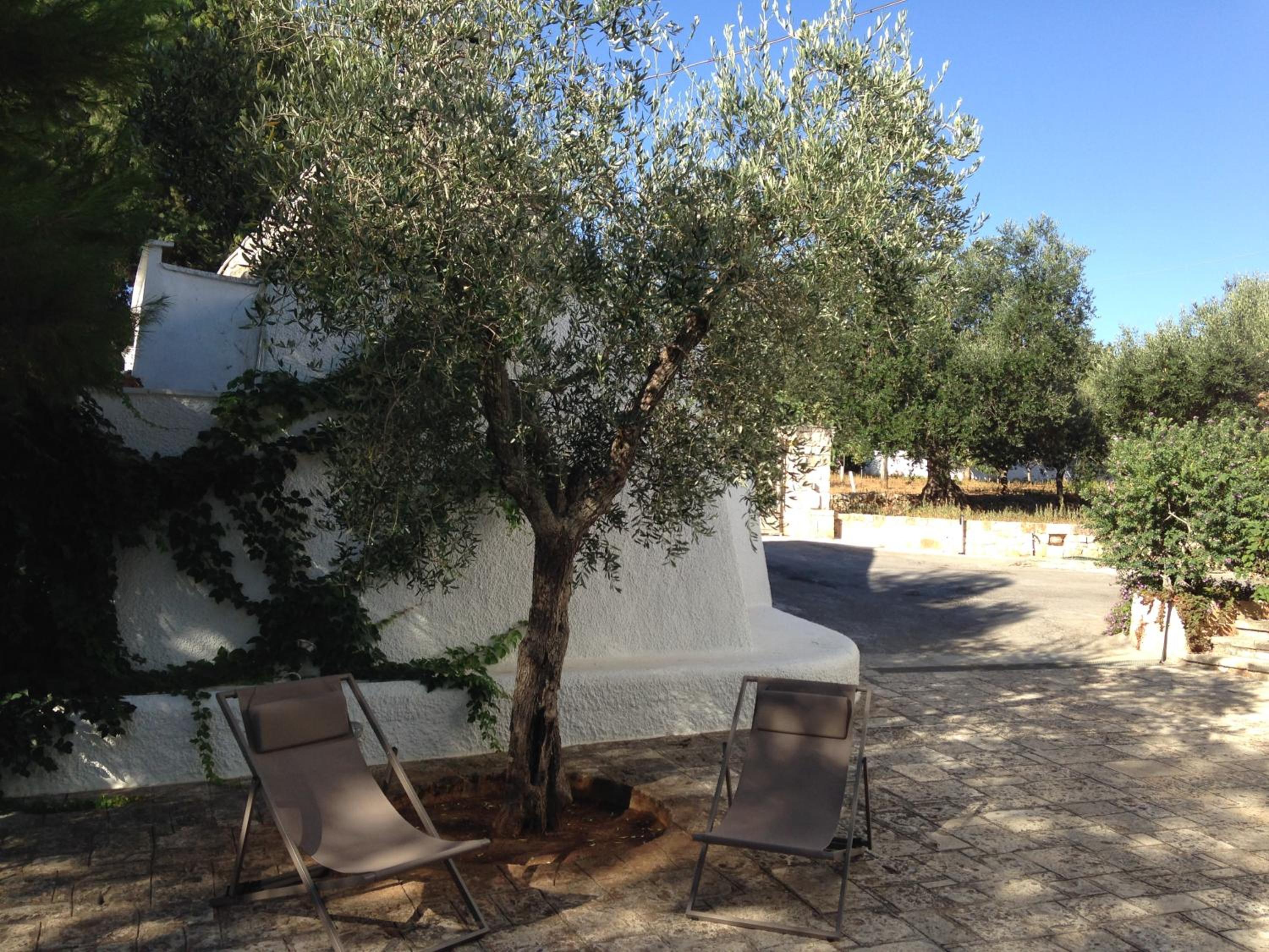 La Vecchia Tabaccheria B&B view 5