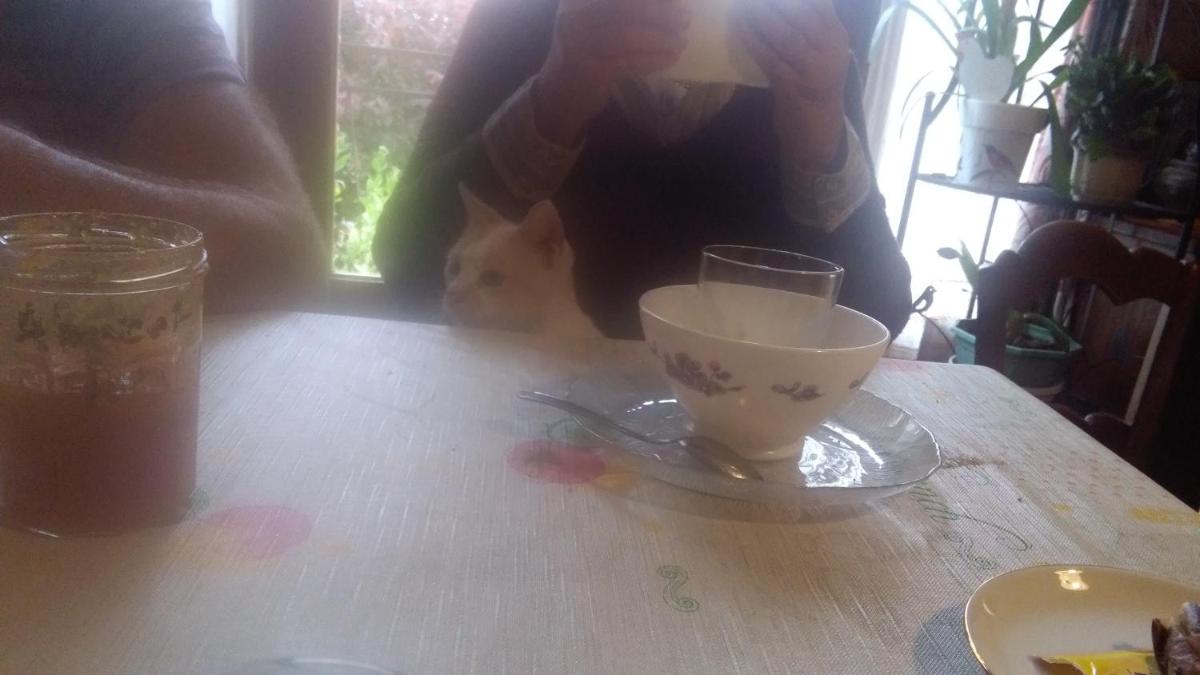 Photo 13