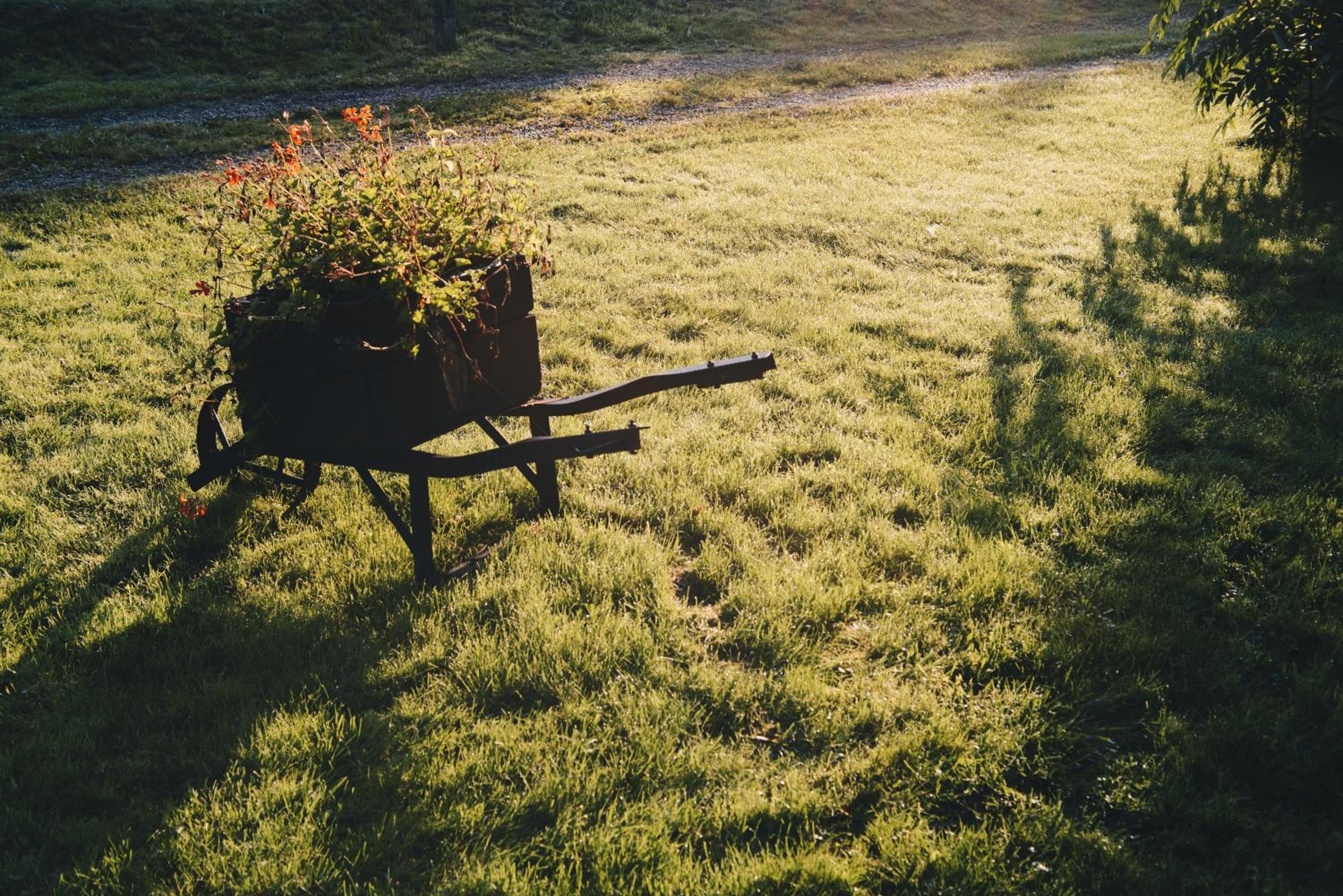 Photo 49