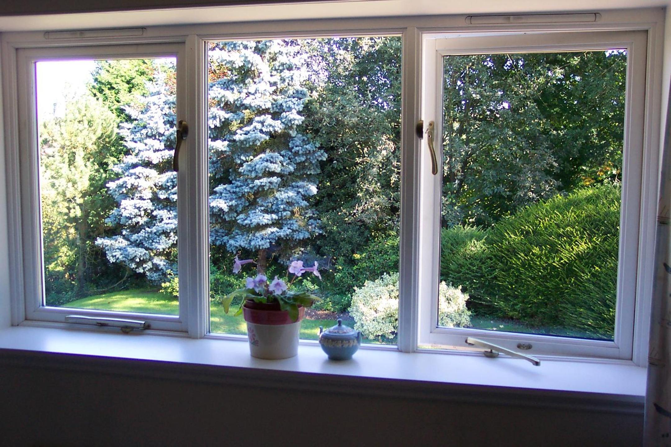 Mayertorne Cottage view 5