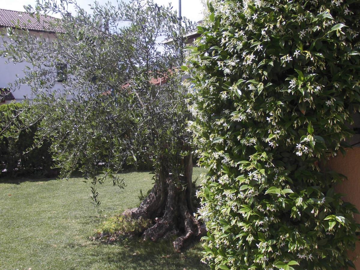Photo 62