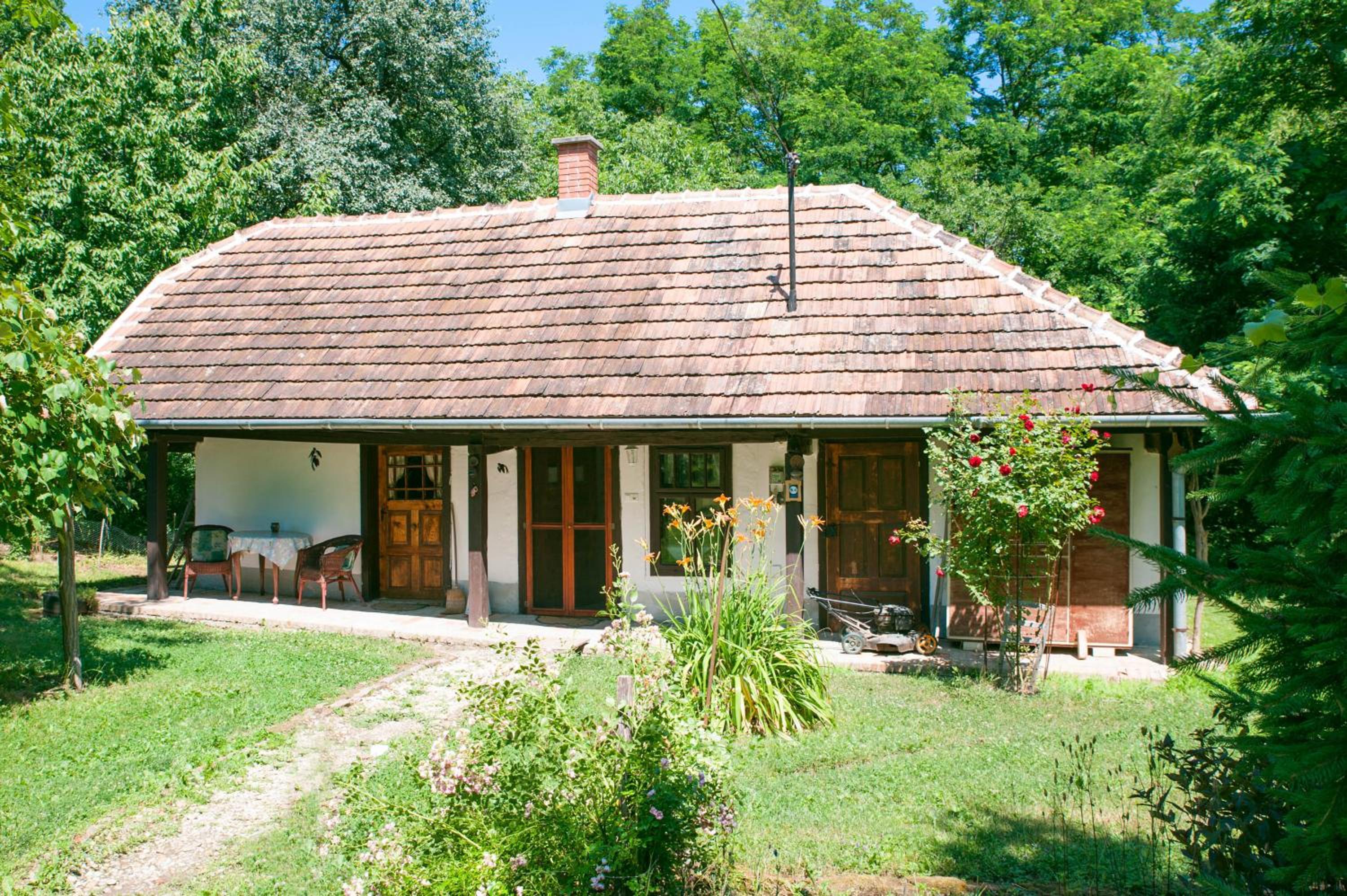 Photo 16