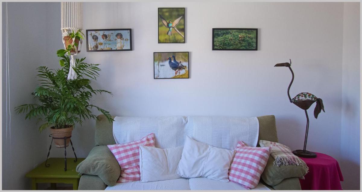 Casa de los Pájaros photo 1