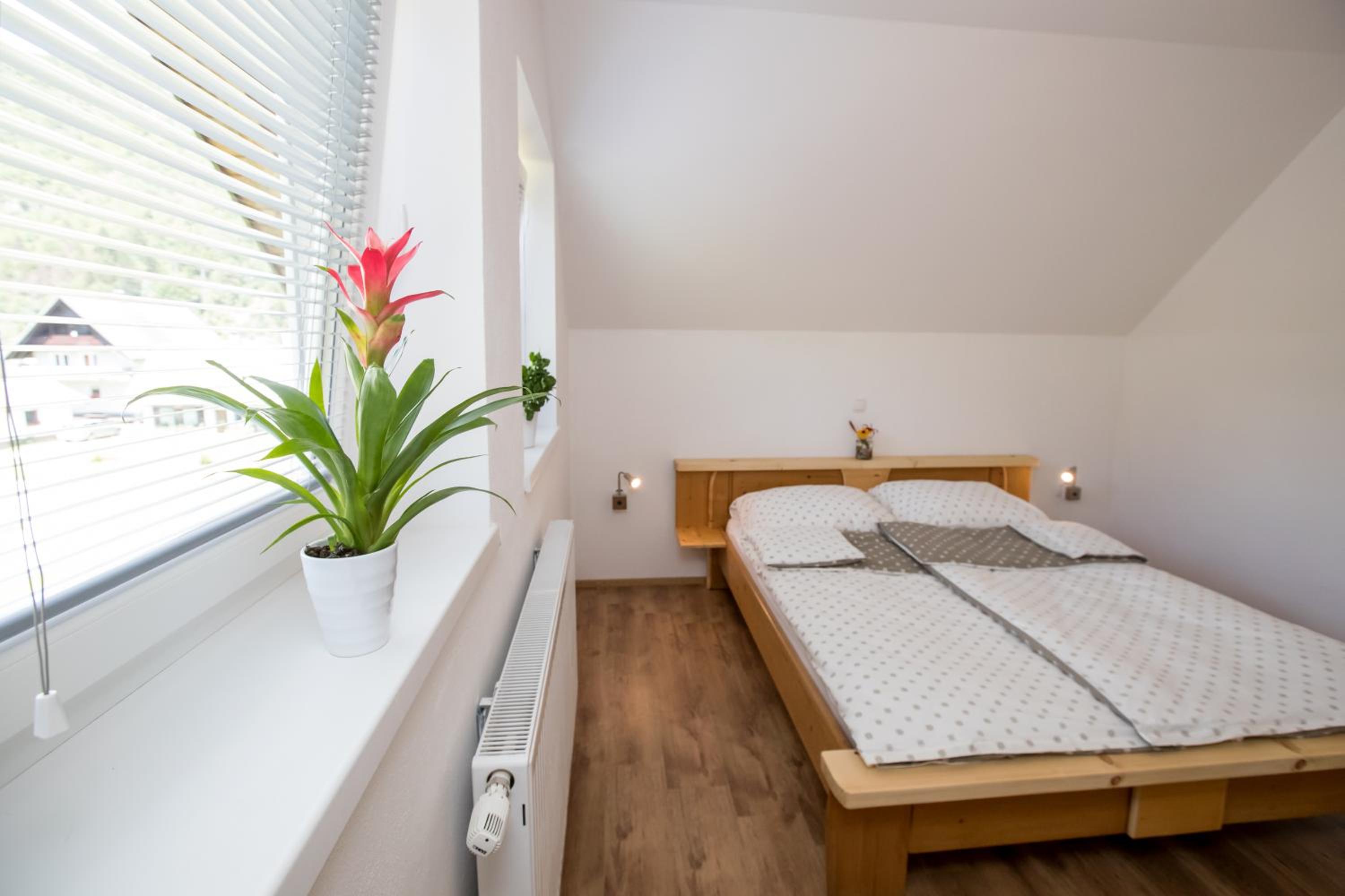 TriSa apartments Bohinj