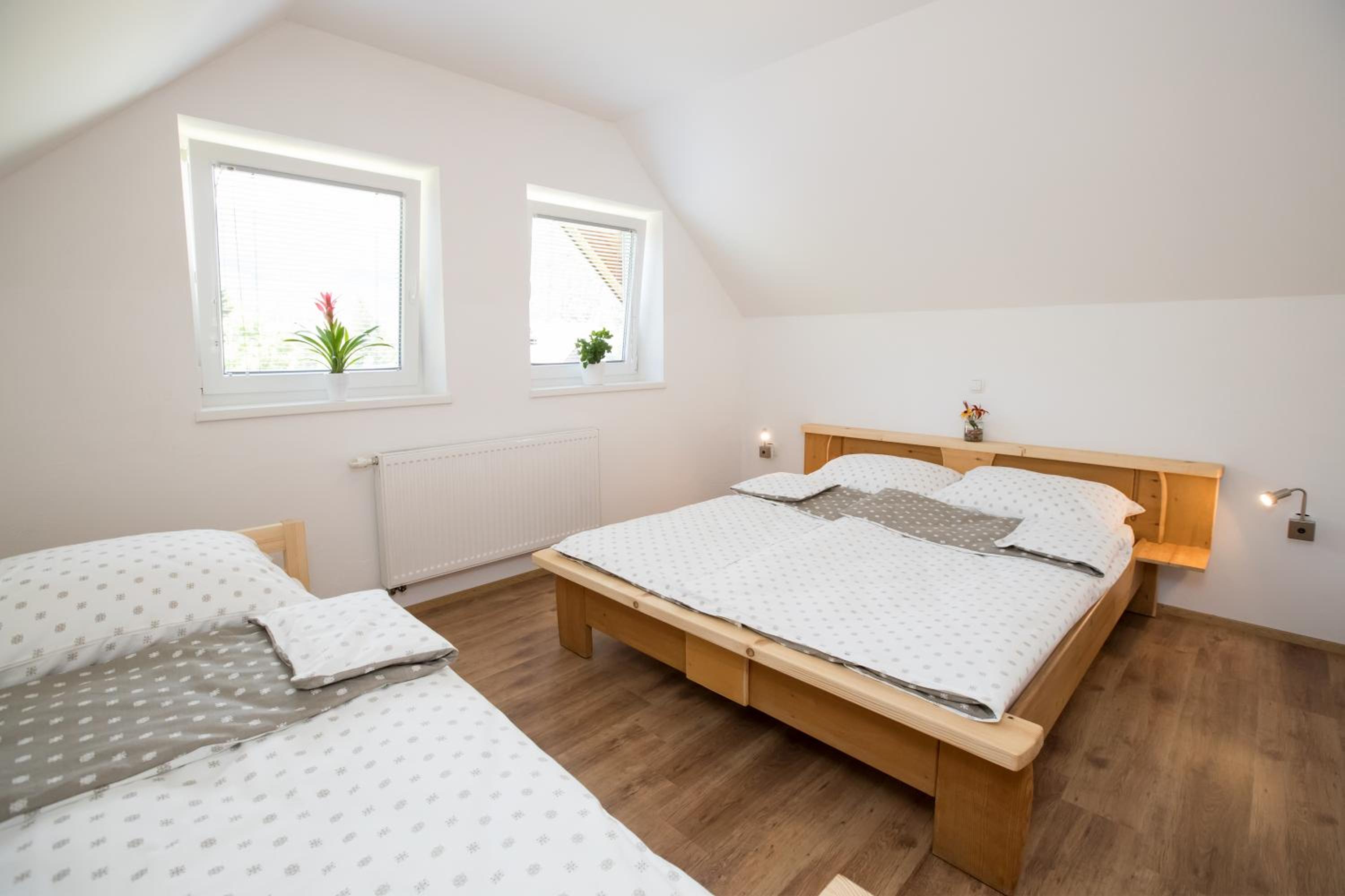 TriSa apartments Bohinj — photo 22