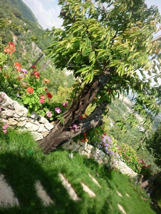 El Achkar Guesthouse