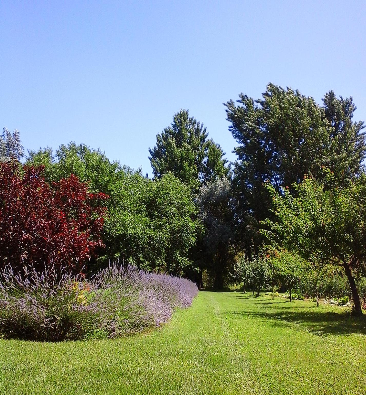 Photo 52