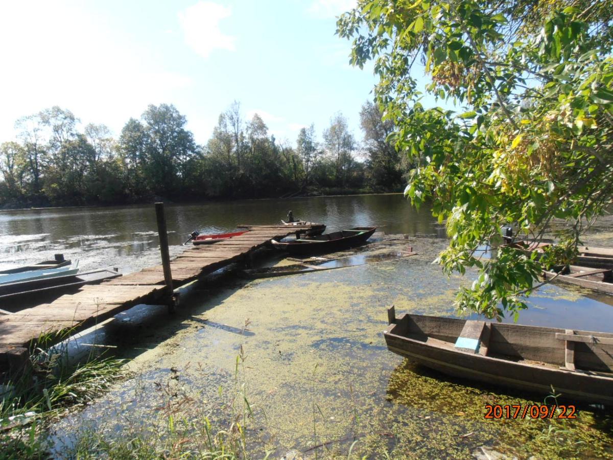 Photo 23