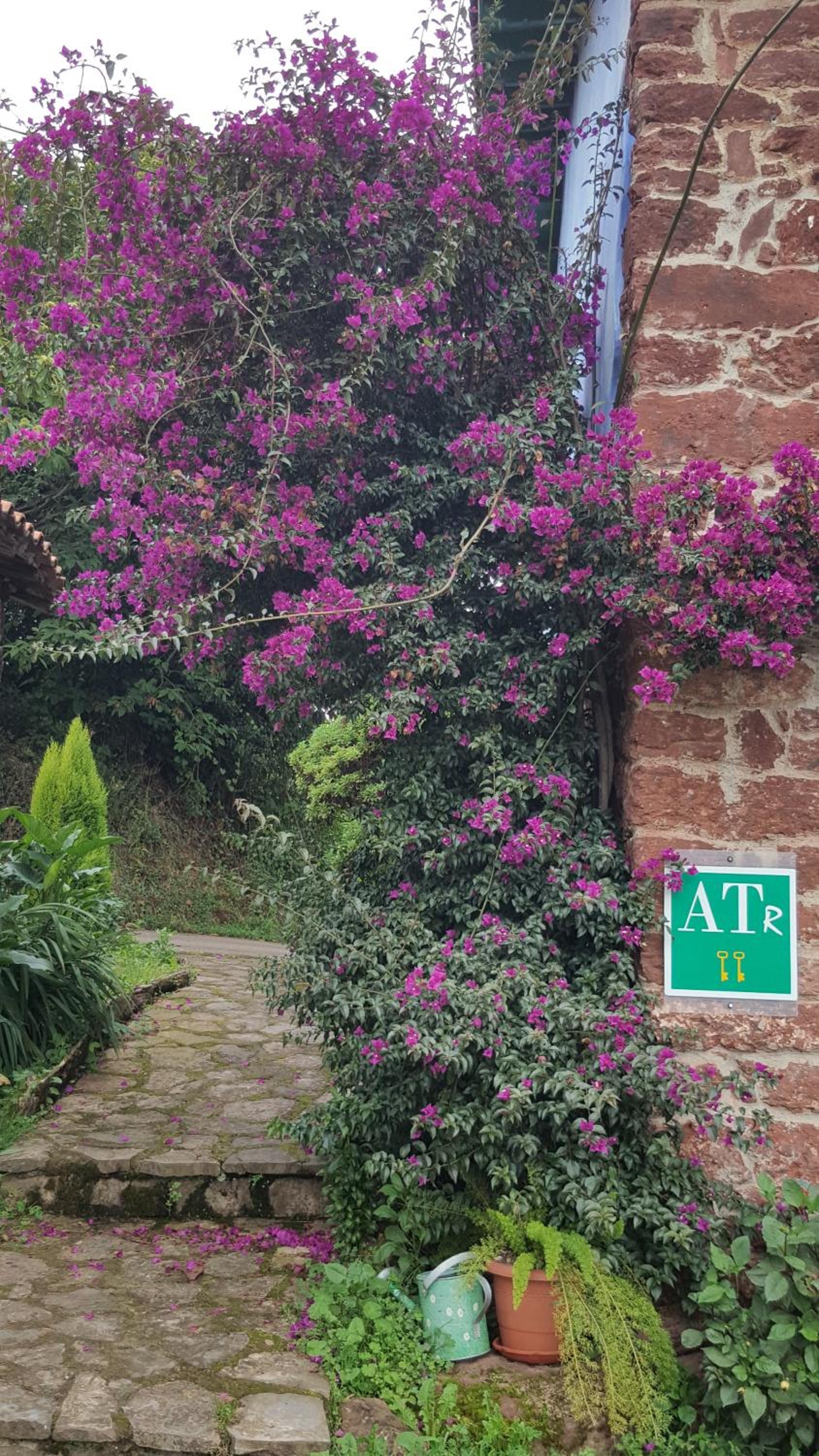 Apartamentos Villar