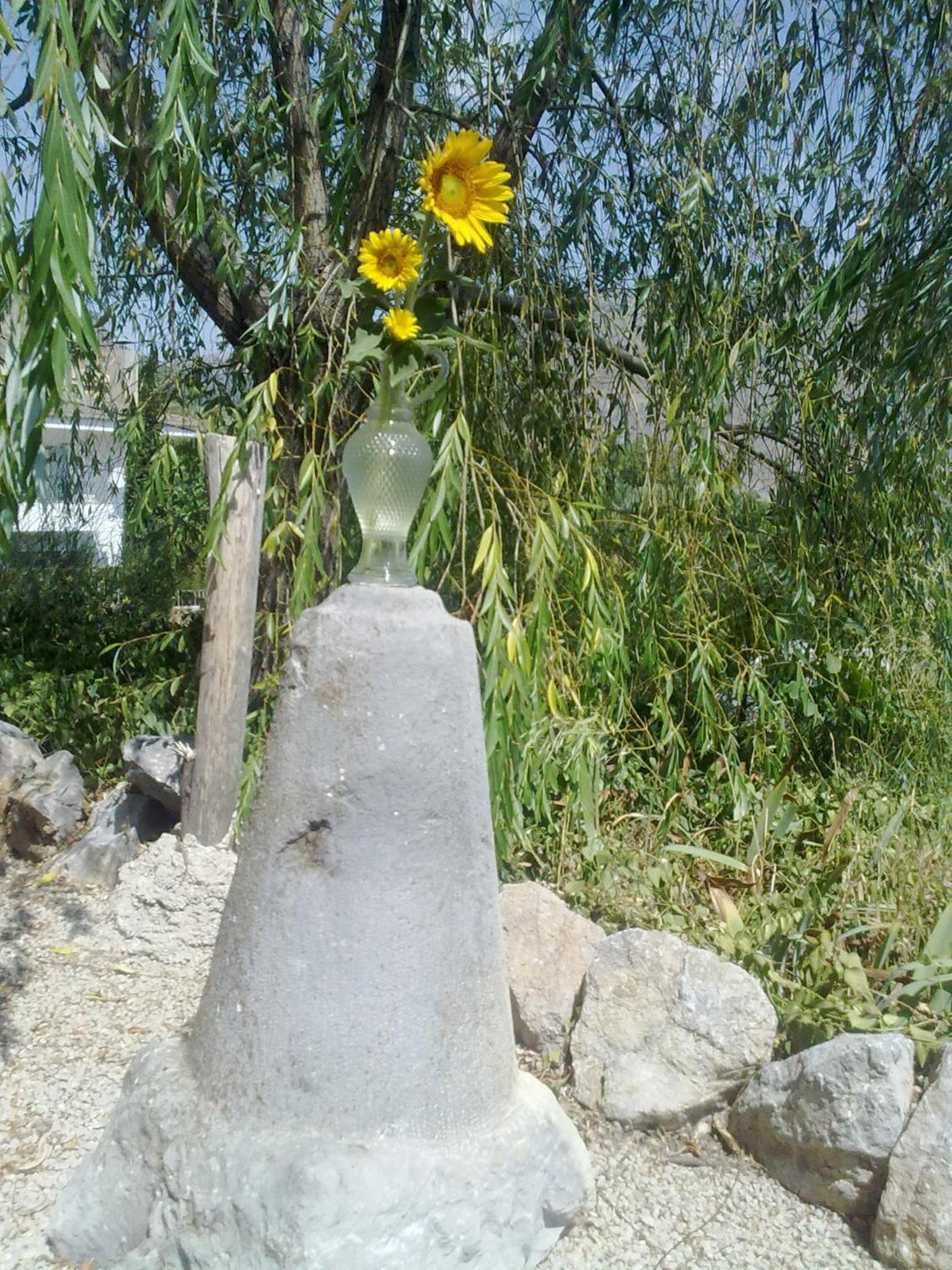 Photo 47