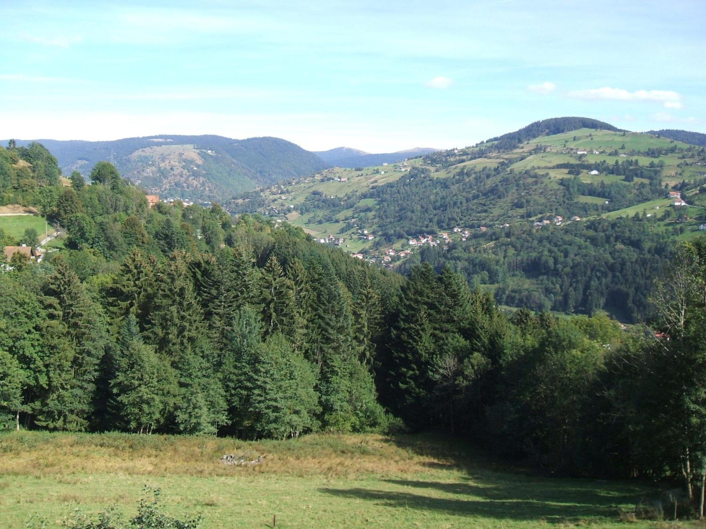 La Ferme du Vieux Sapin view 5