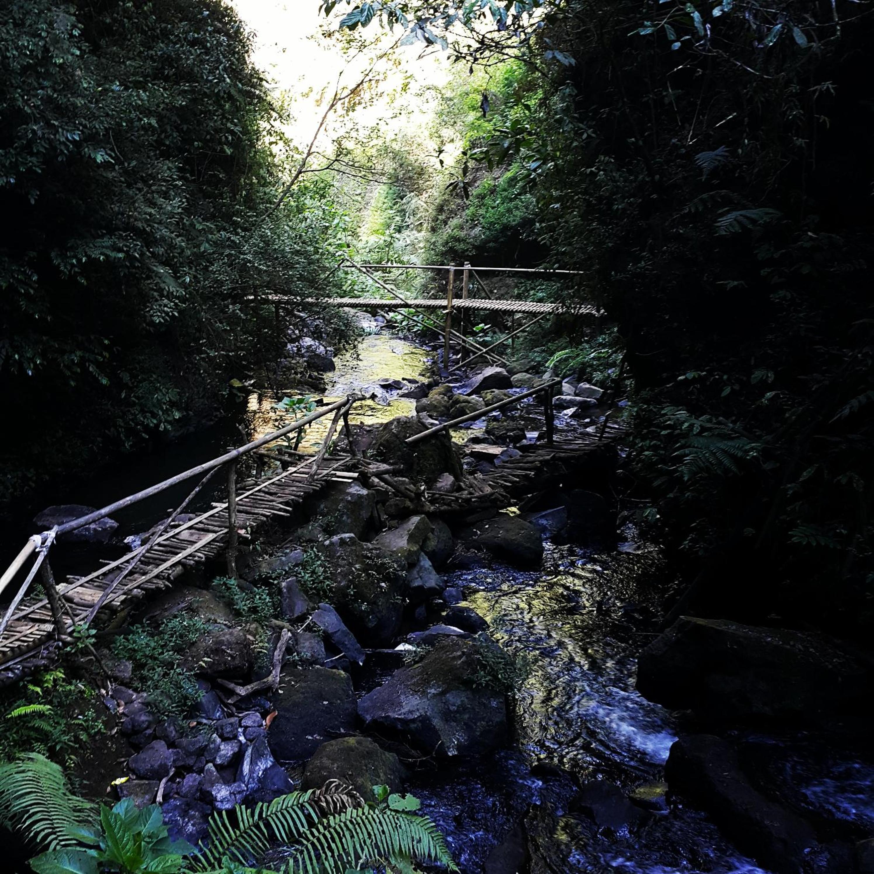 Villa Bougenvile Lembang Asri, Lembang - 24