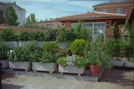 Gran Hostal El Chiscón view 4