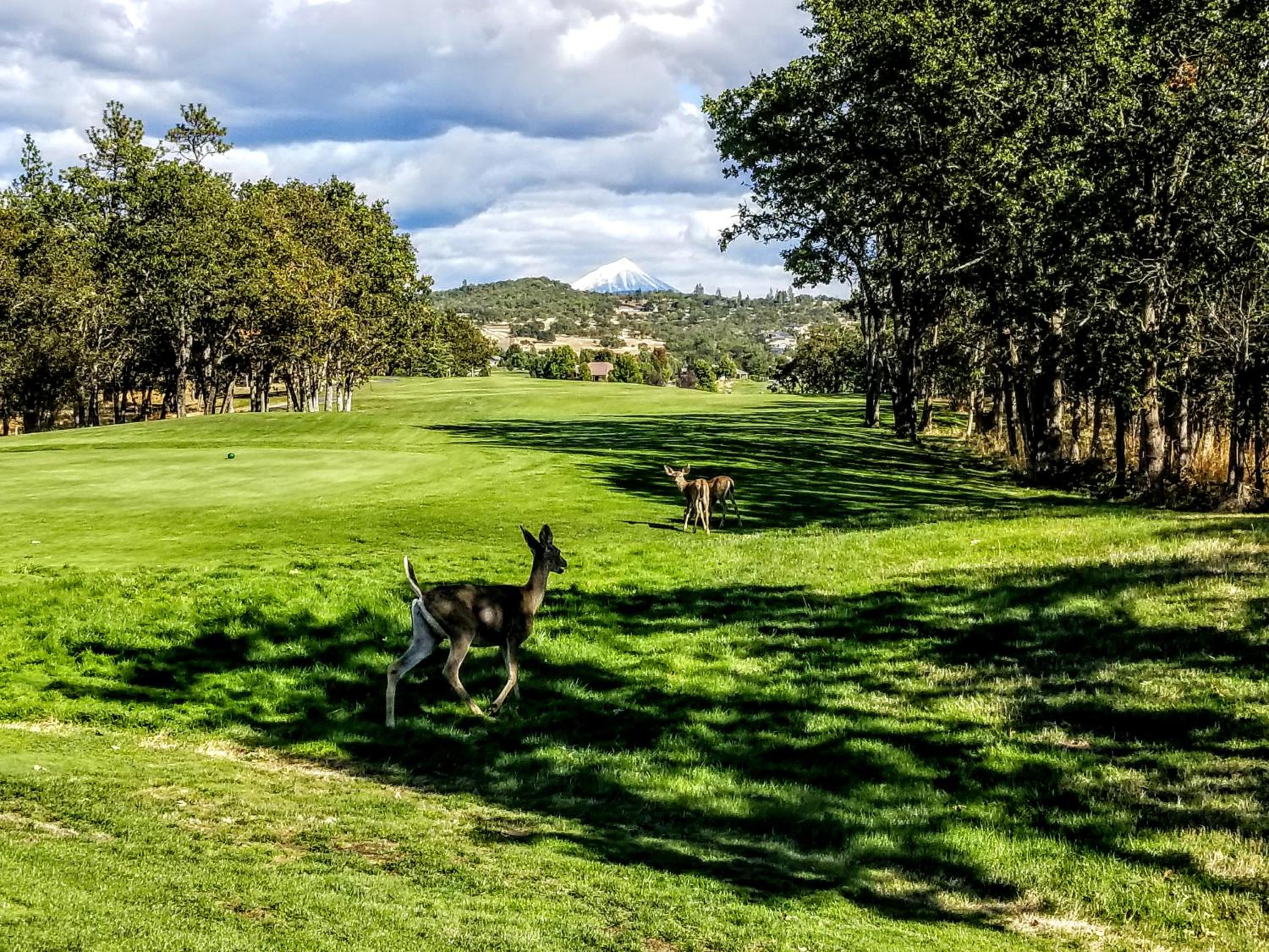 Medford Vacations - Resort at Eagle Point Golf Club Lodging - Property Image 57