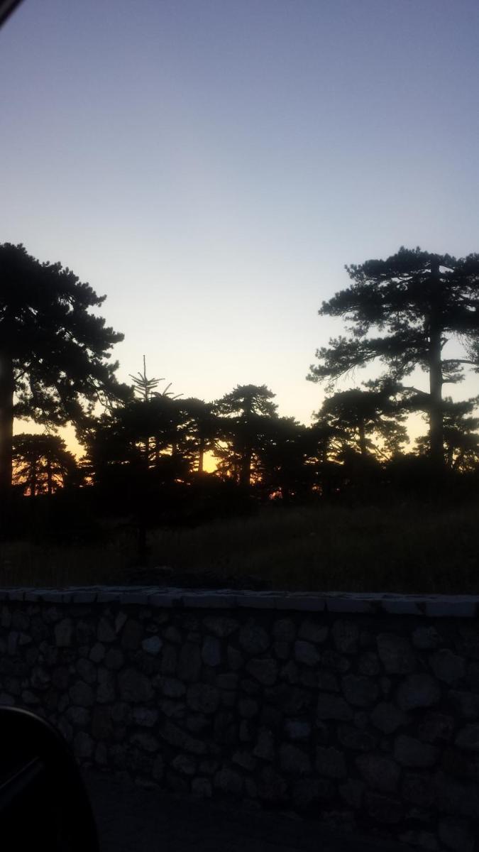 Panorama Kakopleyri Kalabakas