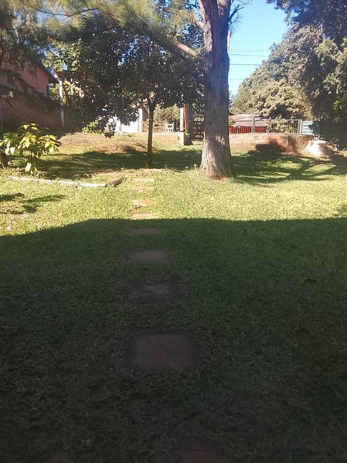 Brisas, photo 17