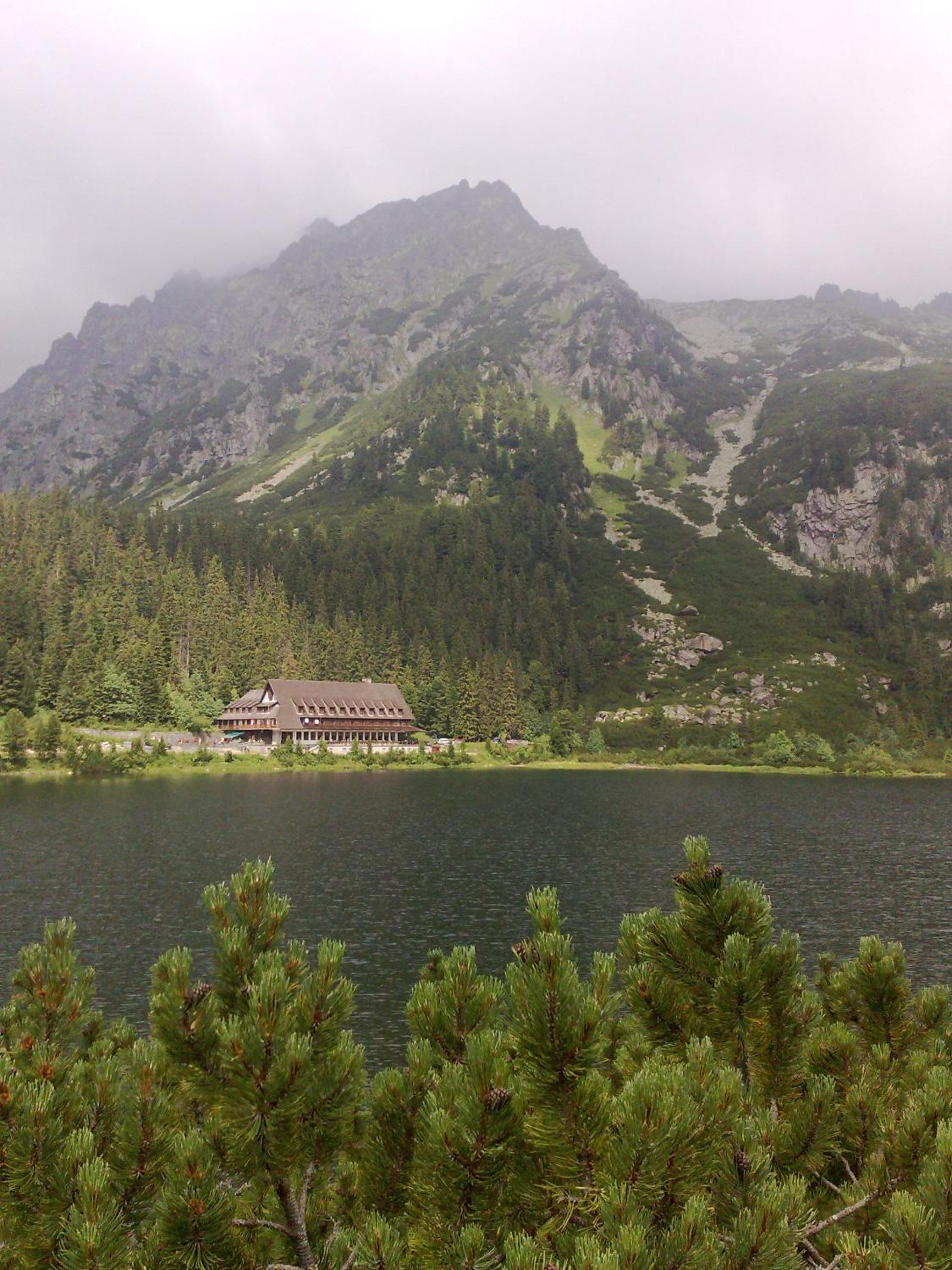 Photo 42