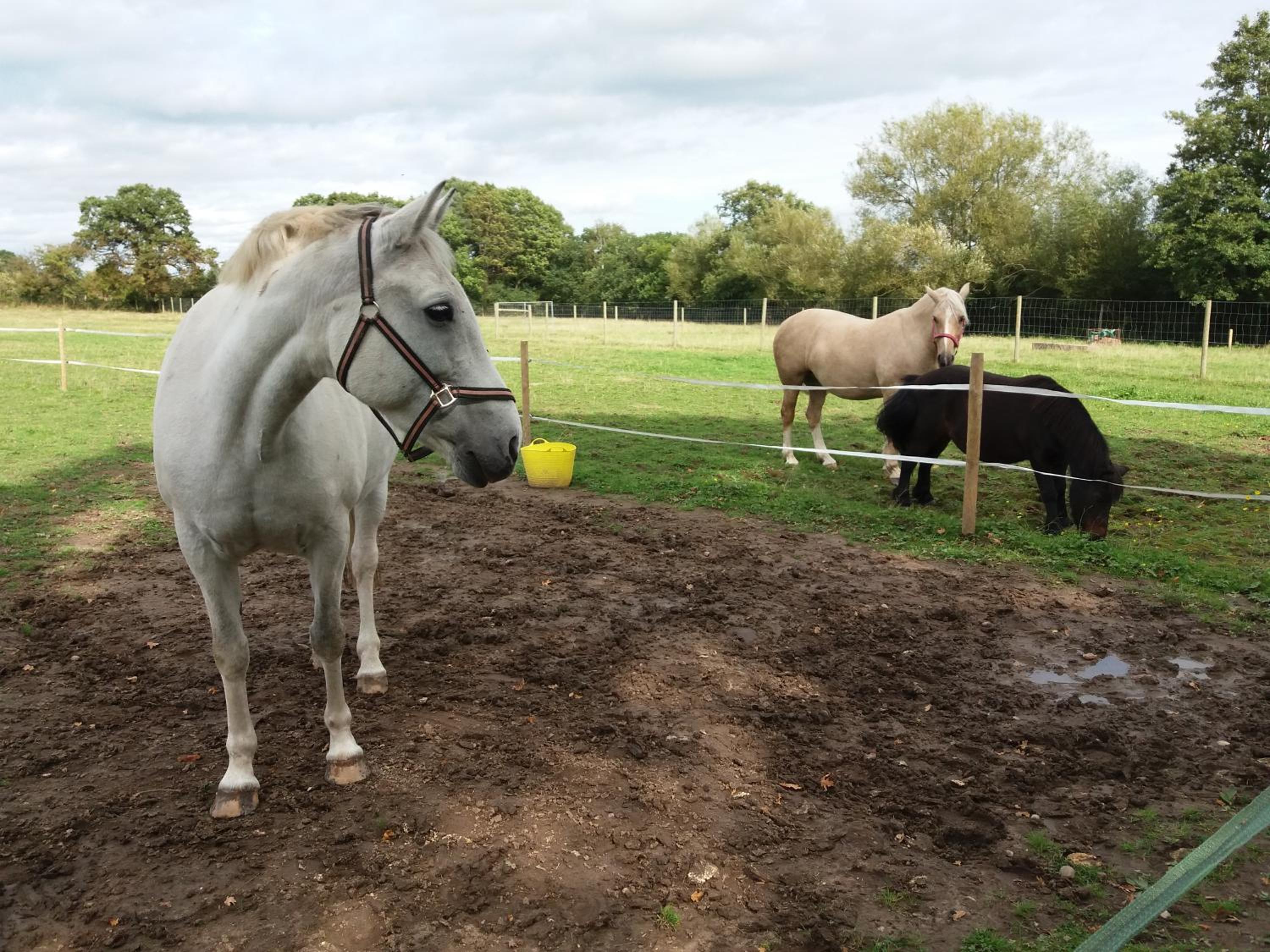 The Stables - Deer Park Farm