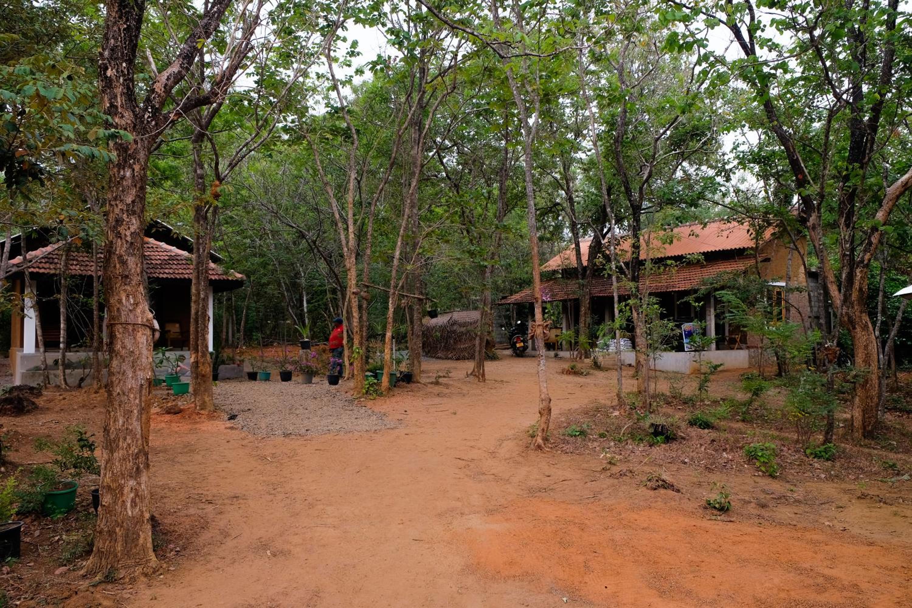 Photo 14