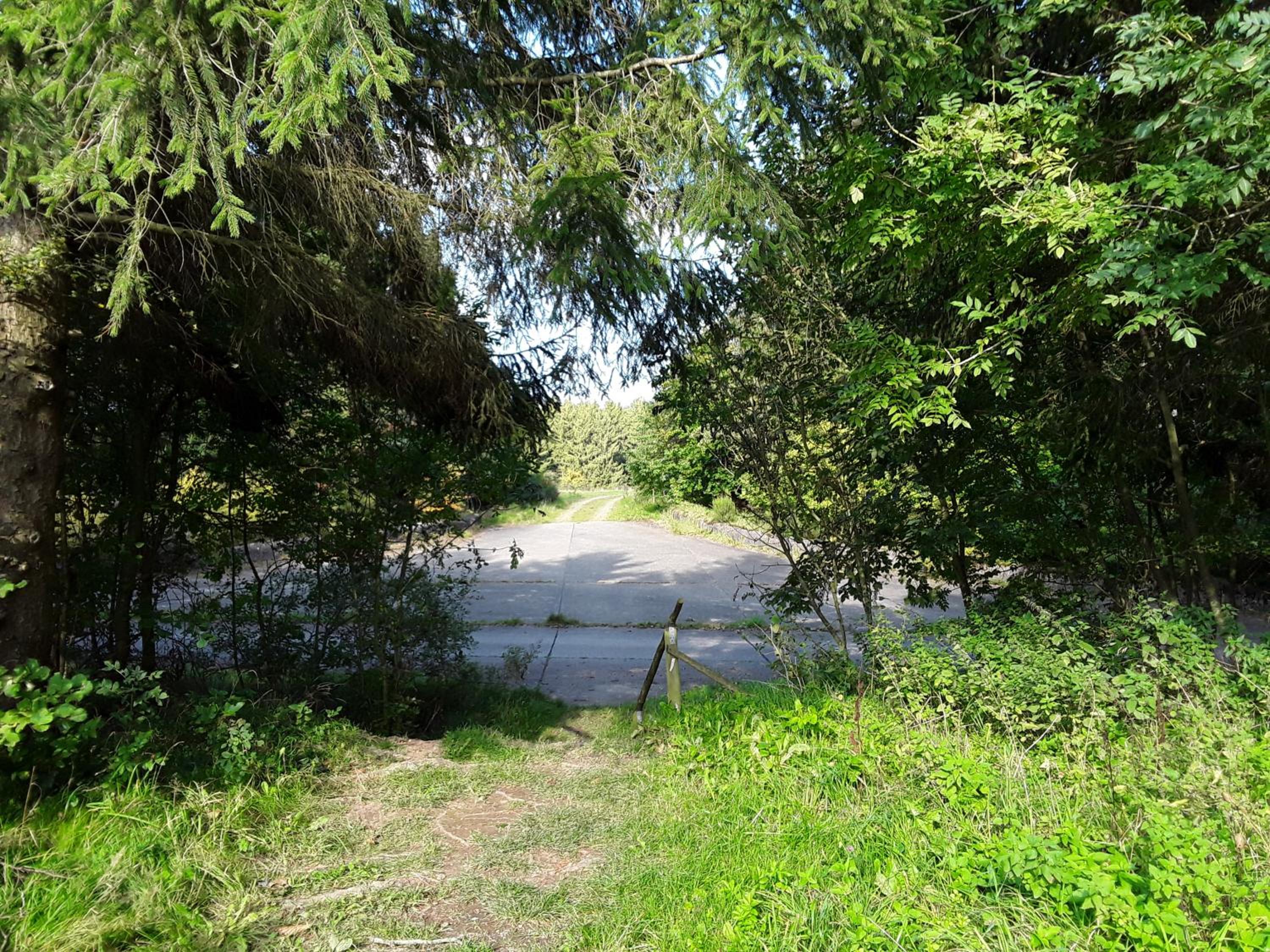 Pohl am Nationalpark Eifel - Property Image 7