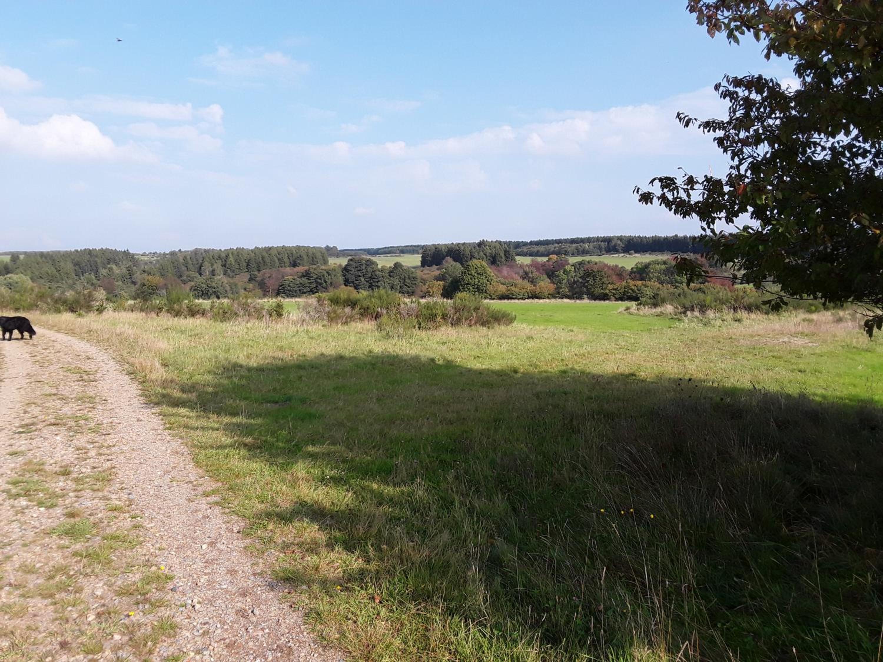 Pohl am Nationalpark Eifel - Property Image 8