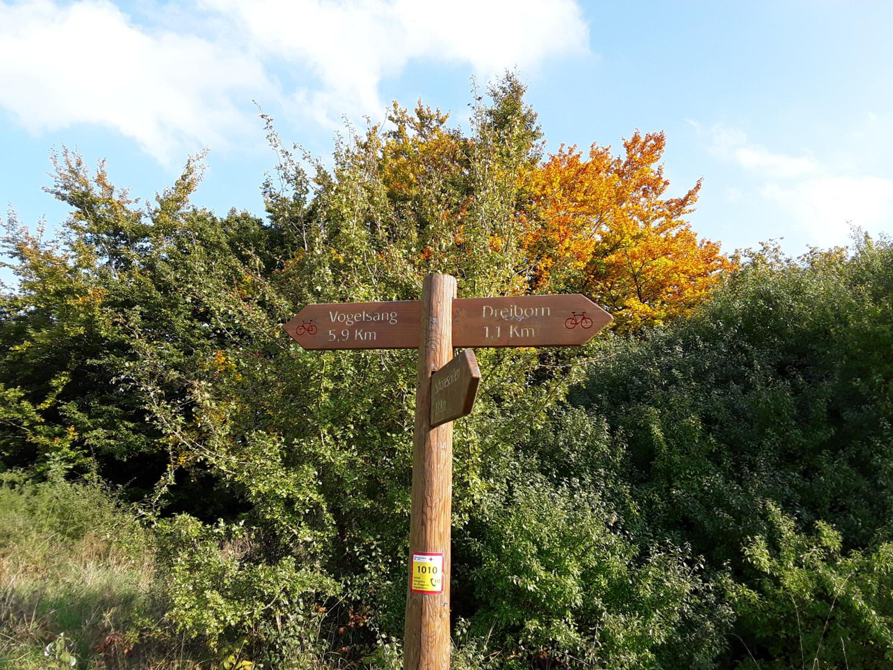 Pohl am Nationalpark Eifel - Property Image 4