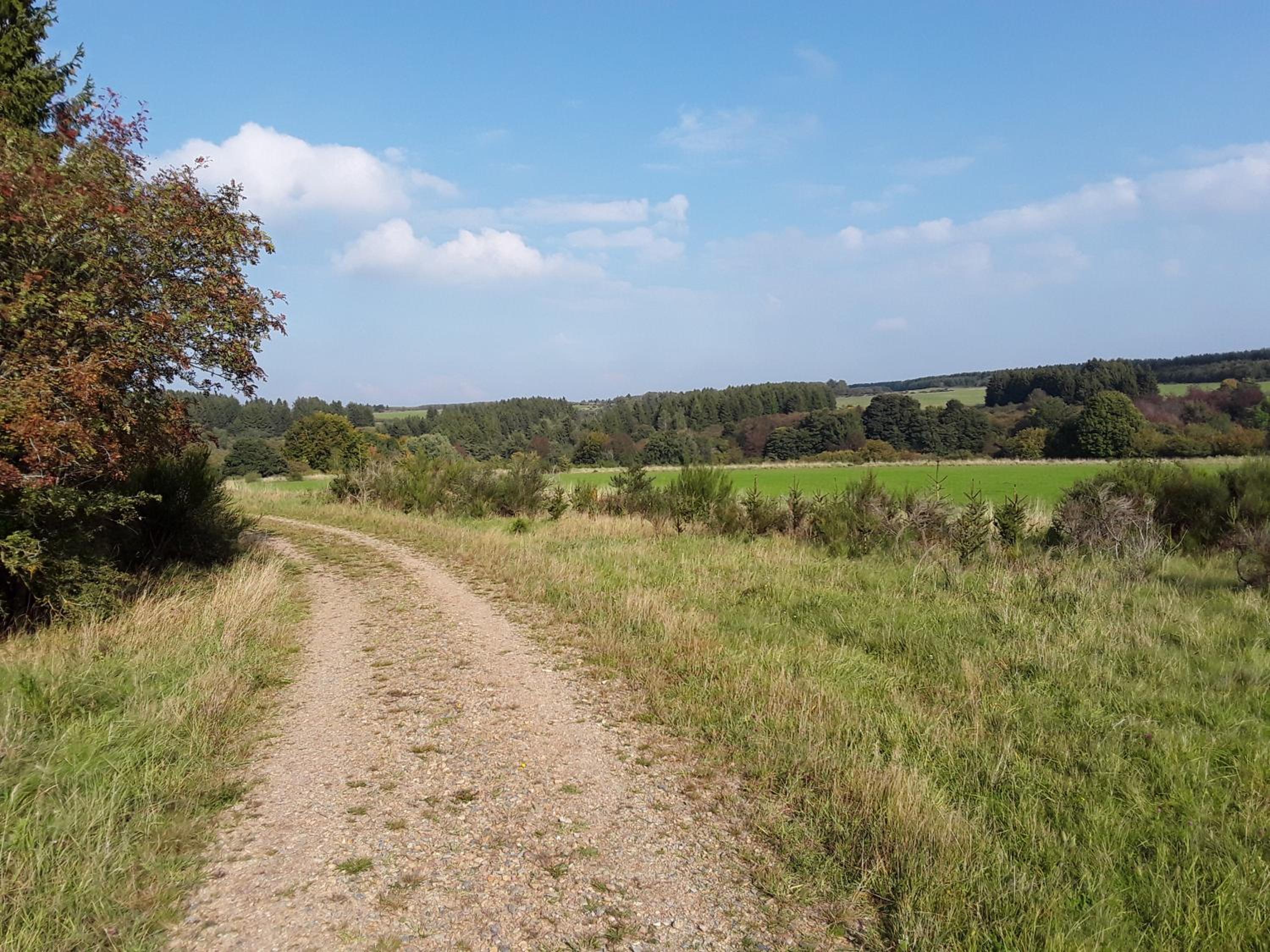 Pohl am Nationalpark Eifel - Property Image 9