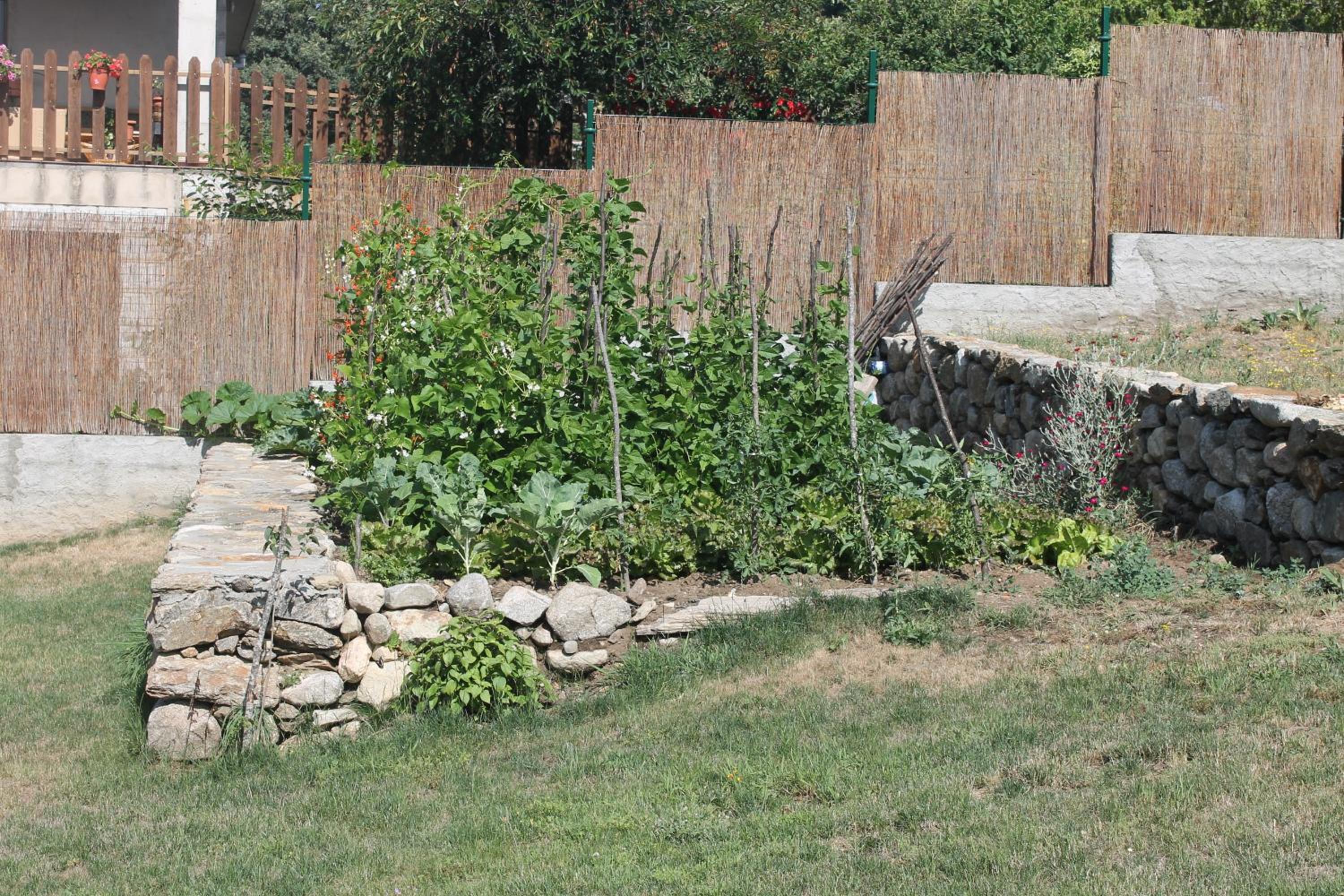 Photo 7
