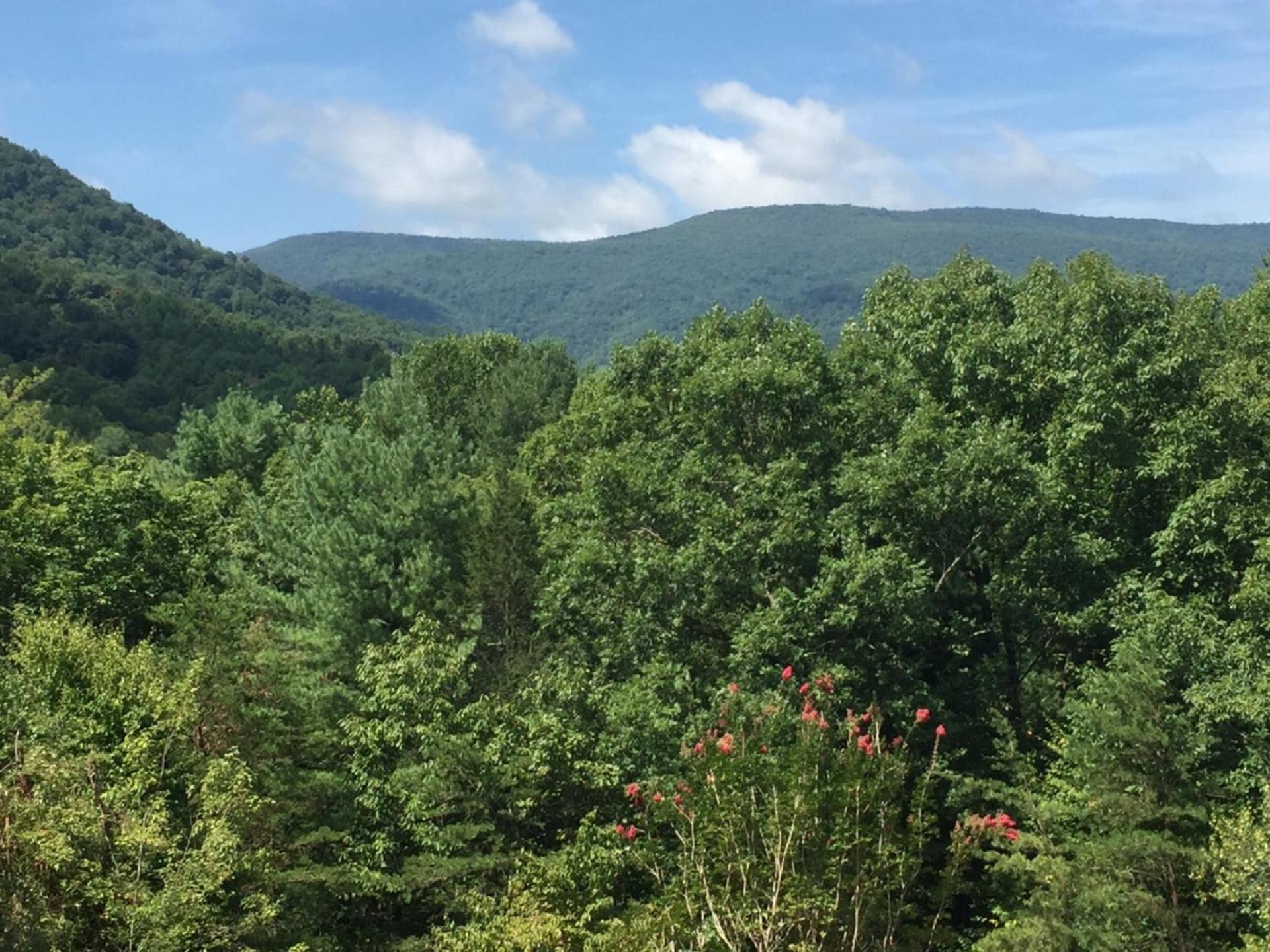 The Lodge in Sugar Hollow view 3