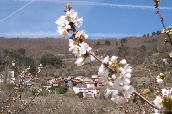 Casa Belen I y II view 4