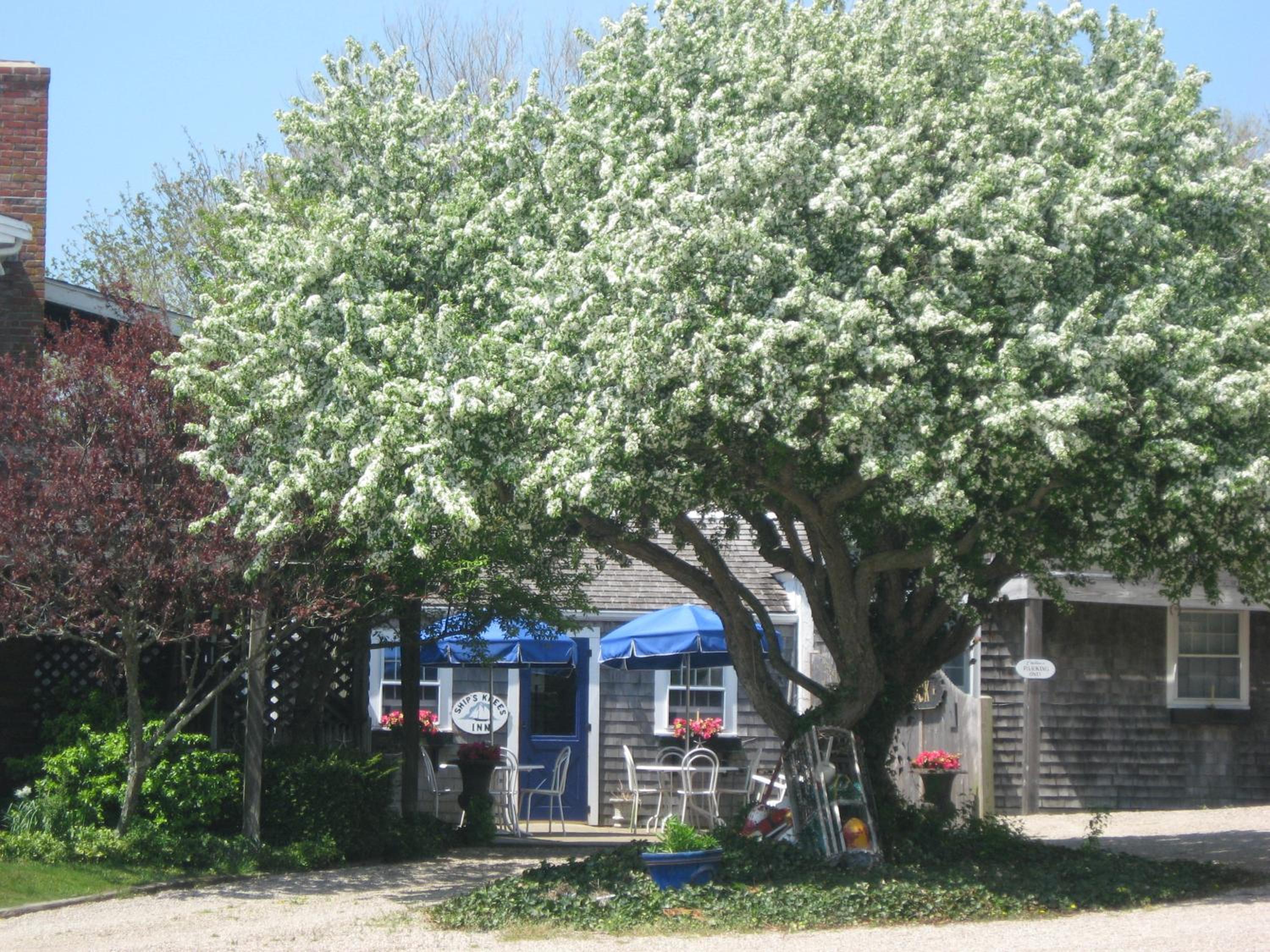 Ship's Knees Inn