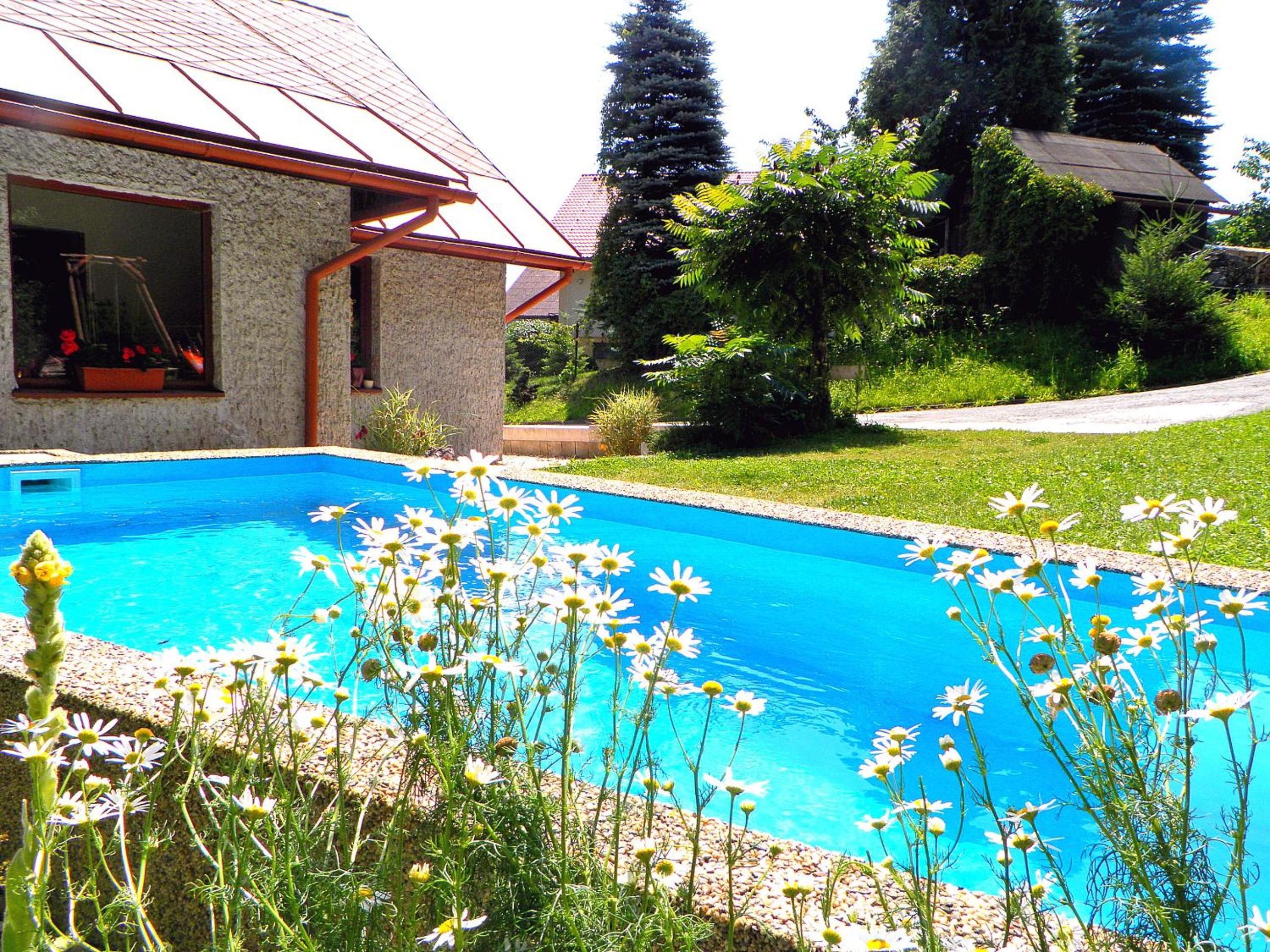 Penzion Bor
