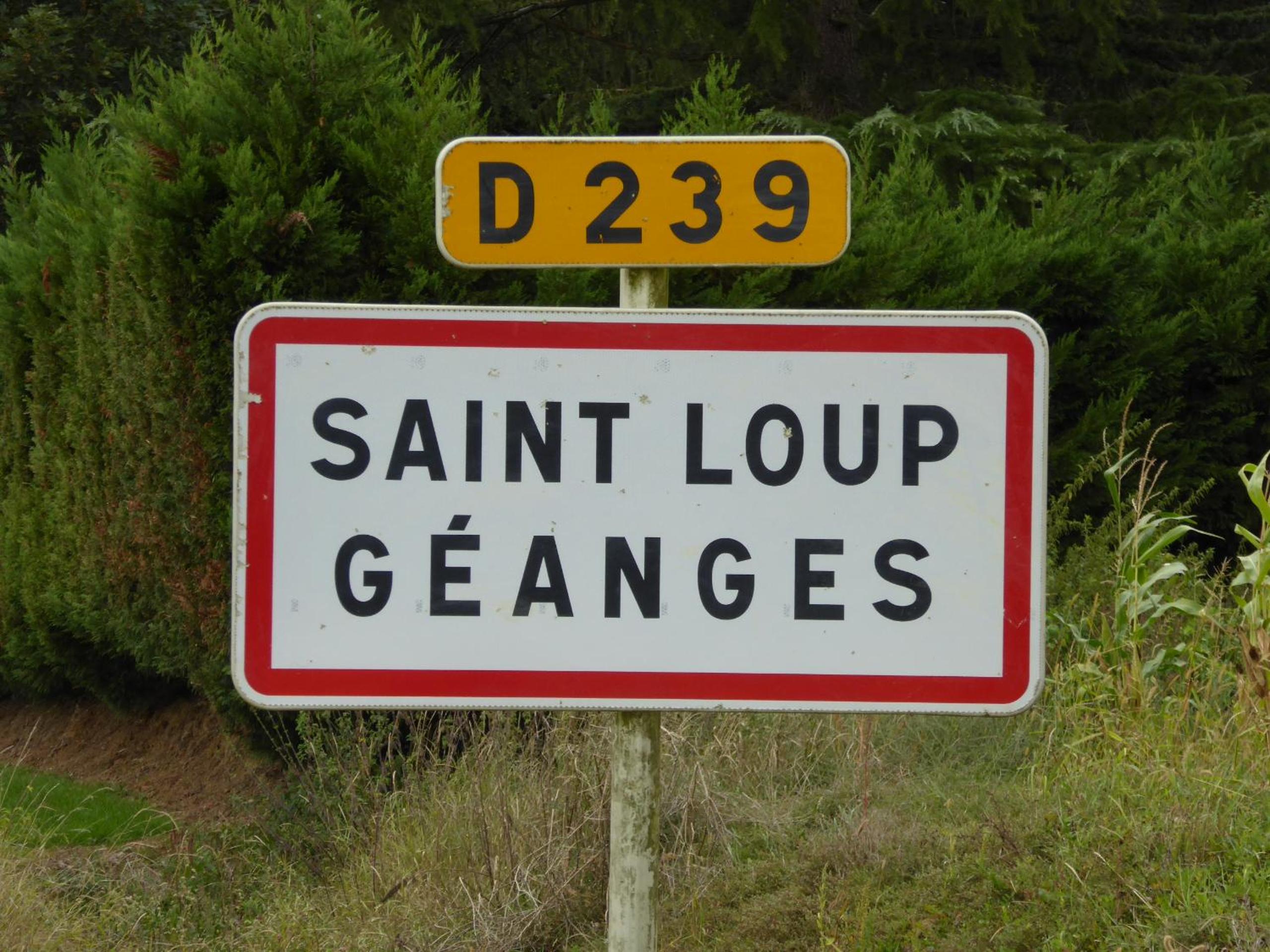 Photo 45