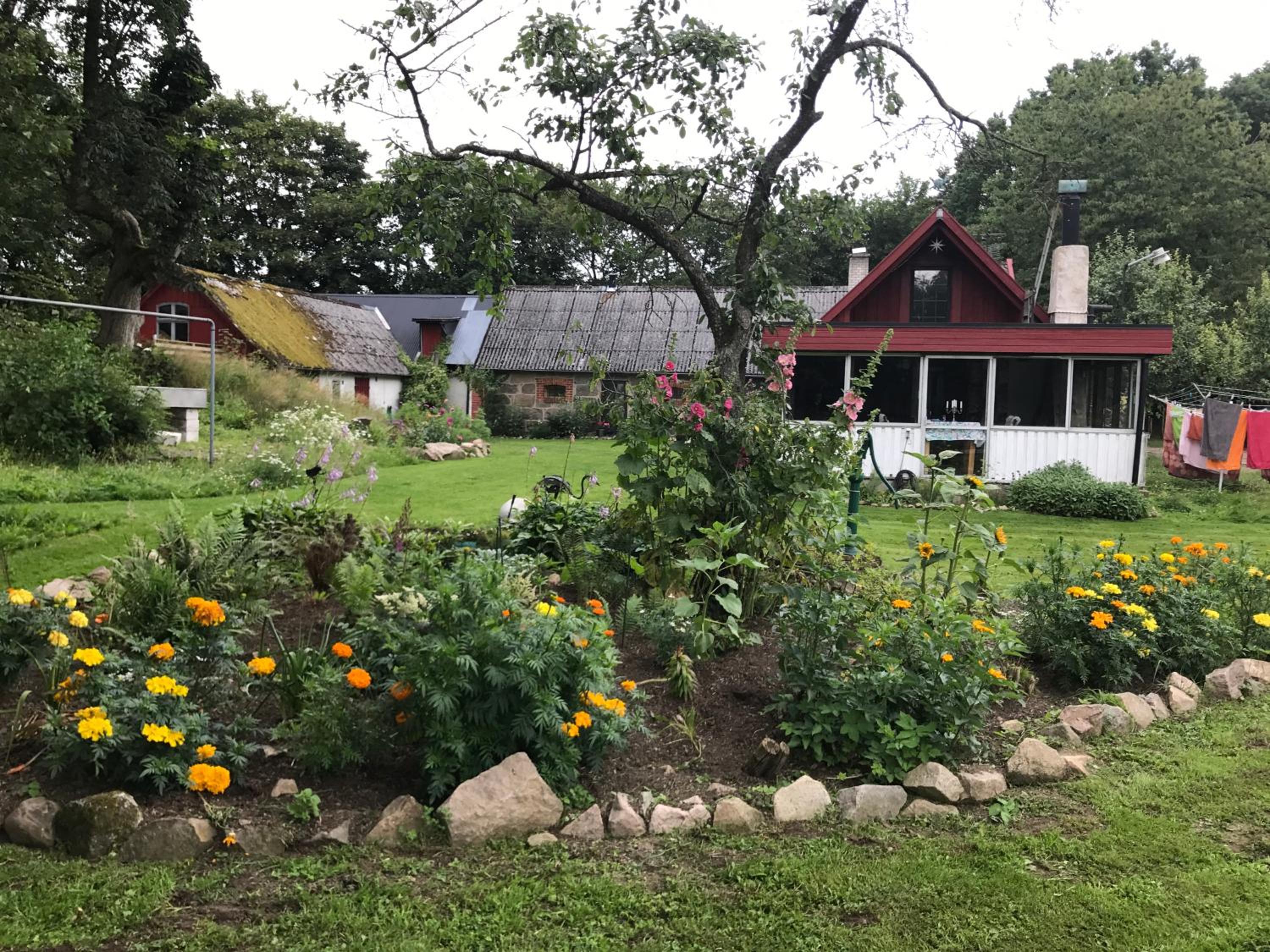 Farm Stay Happy Dogs Ranch view 2