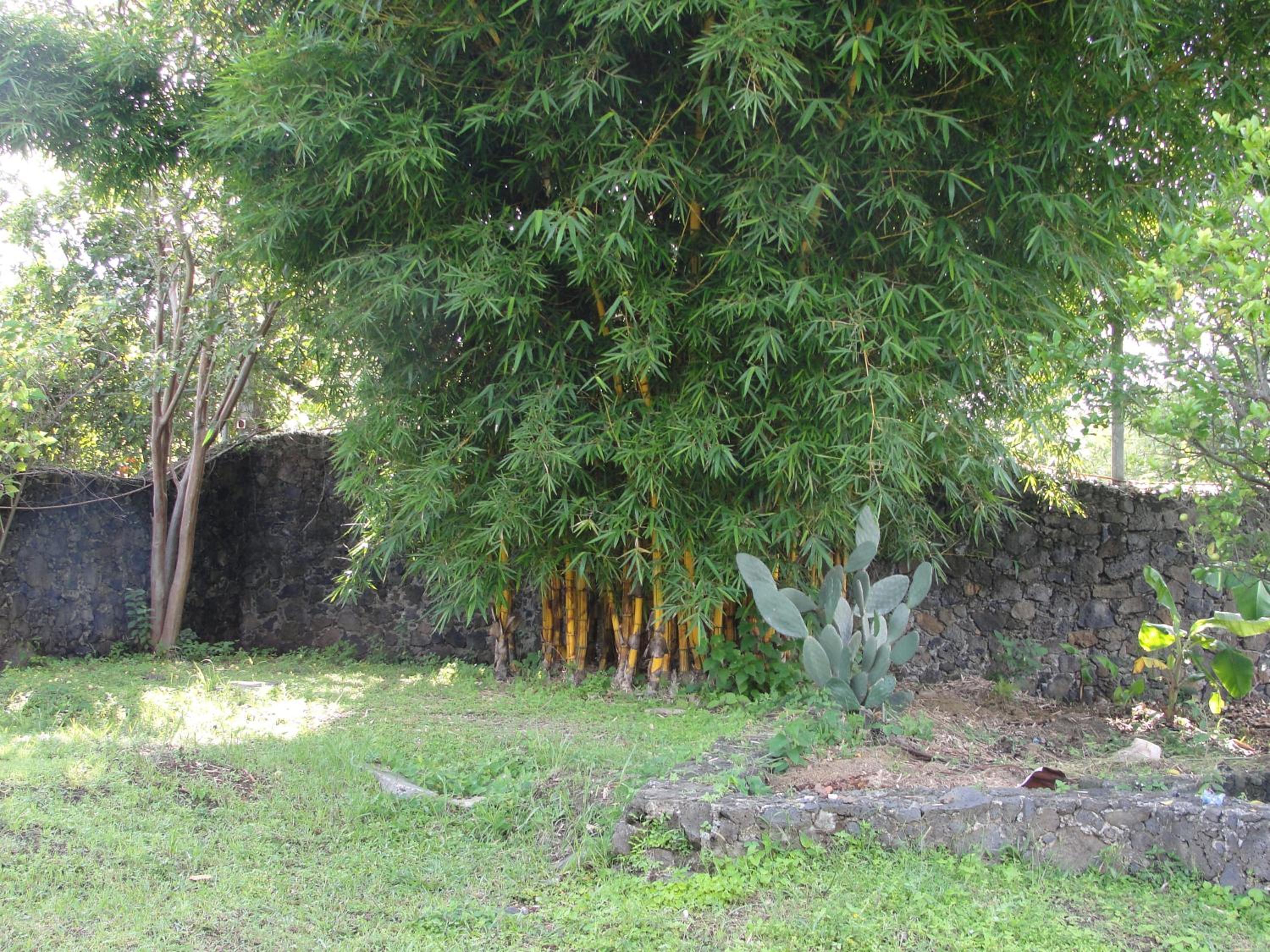 Las Casitas Tepoztlán