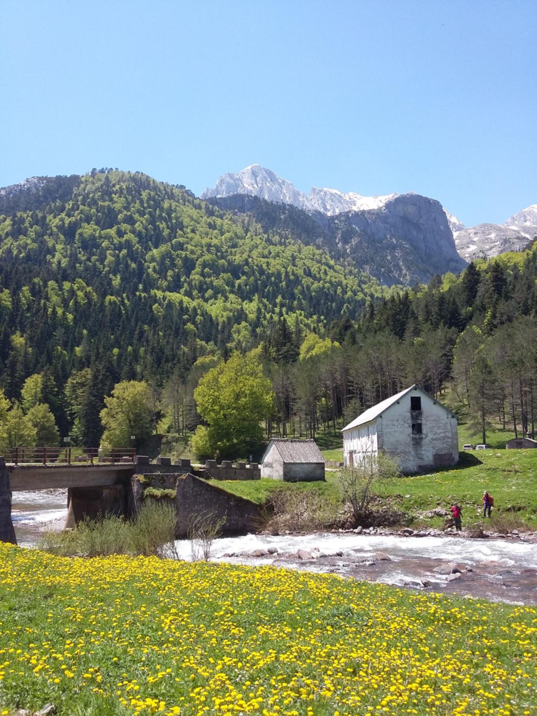 Photo 43