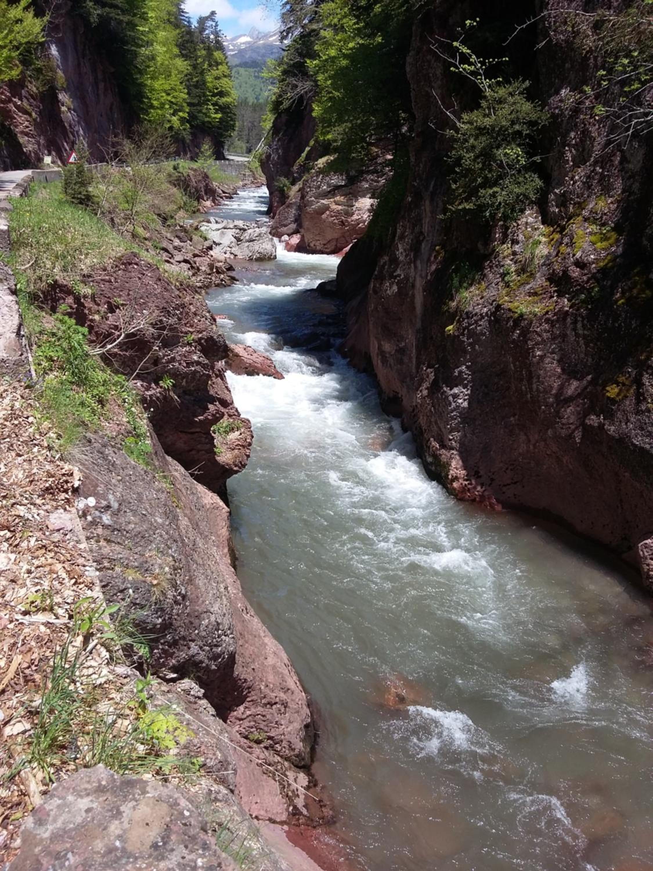 Photo 45