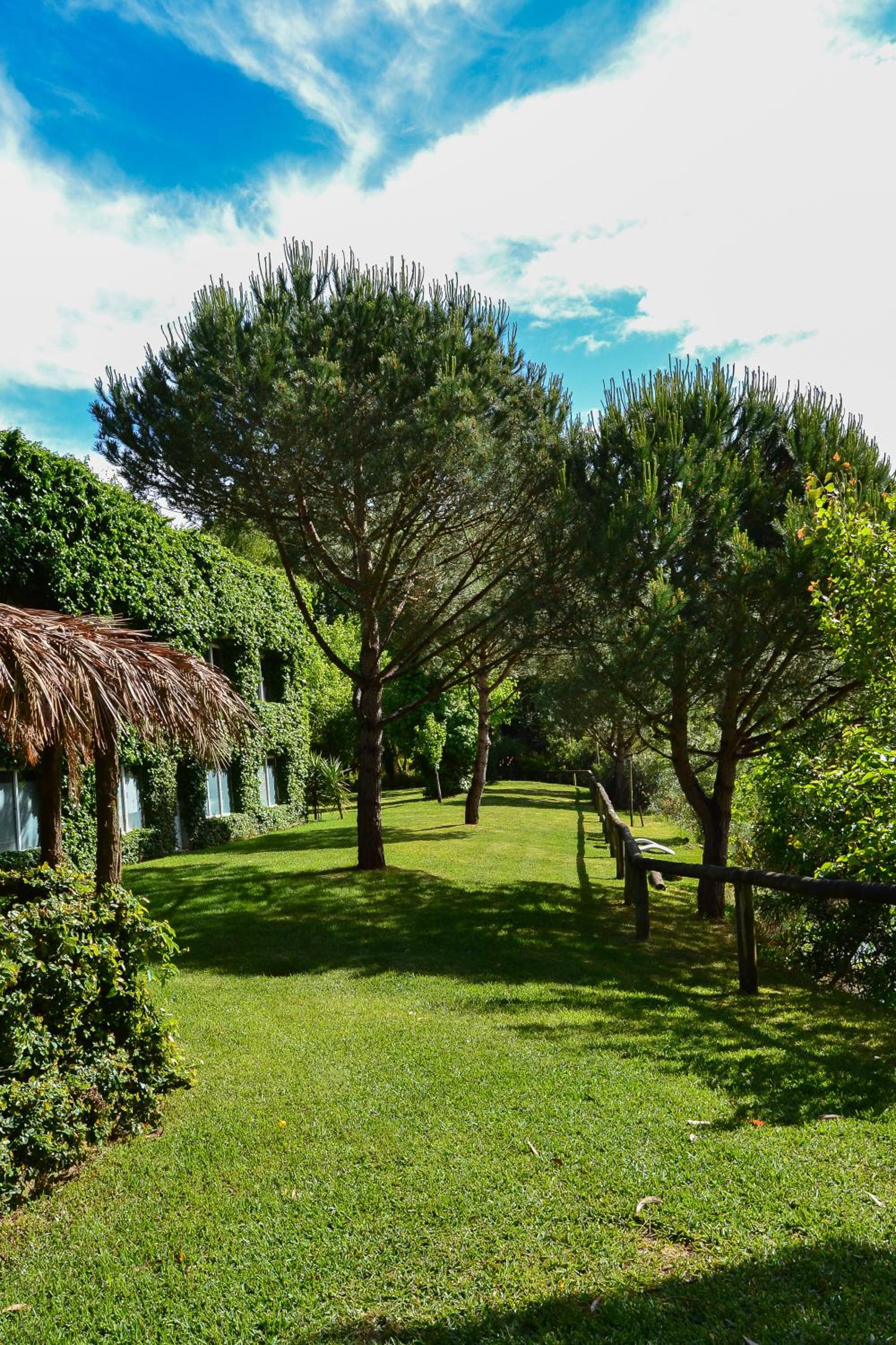 Quinta da Mafalda view 5