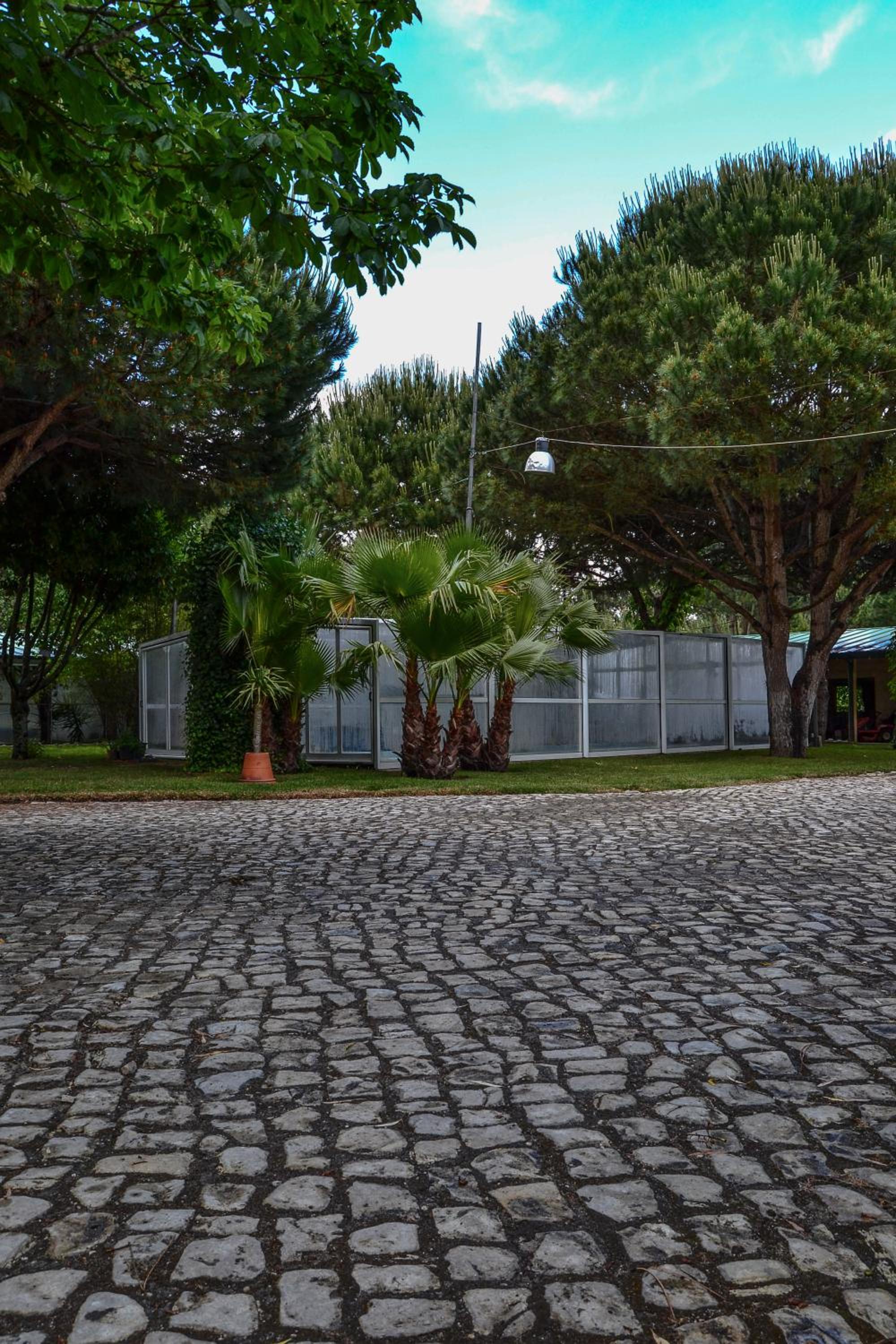 Quinta da Mafalda view 2