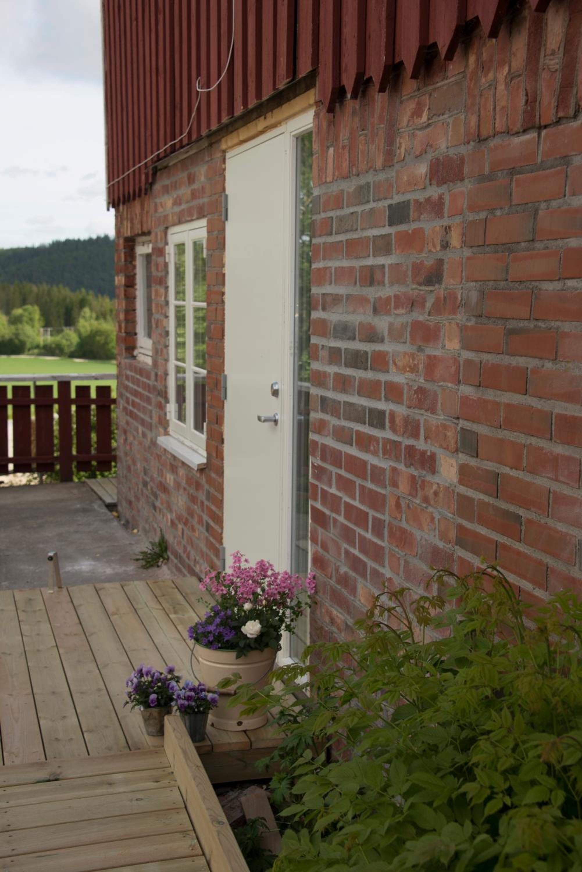 Photo 8
