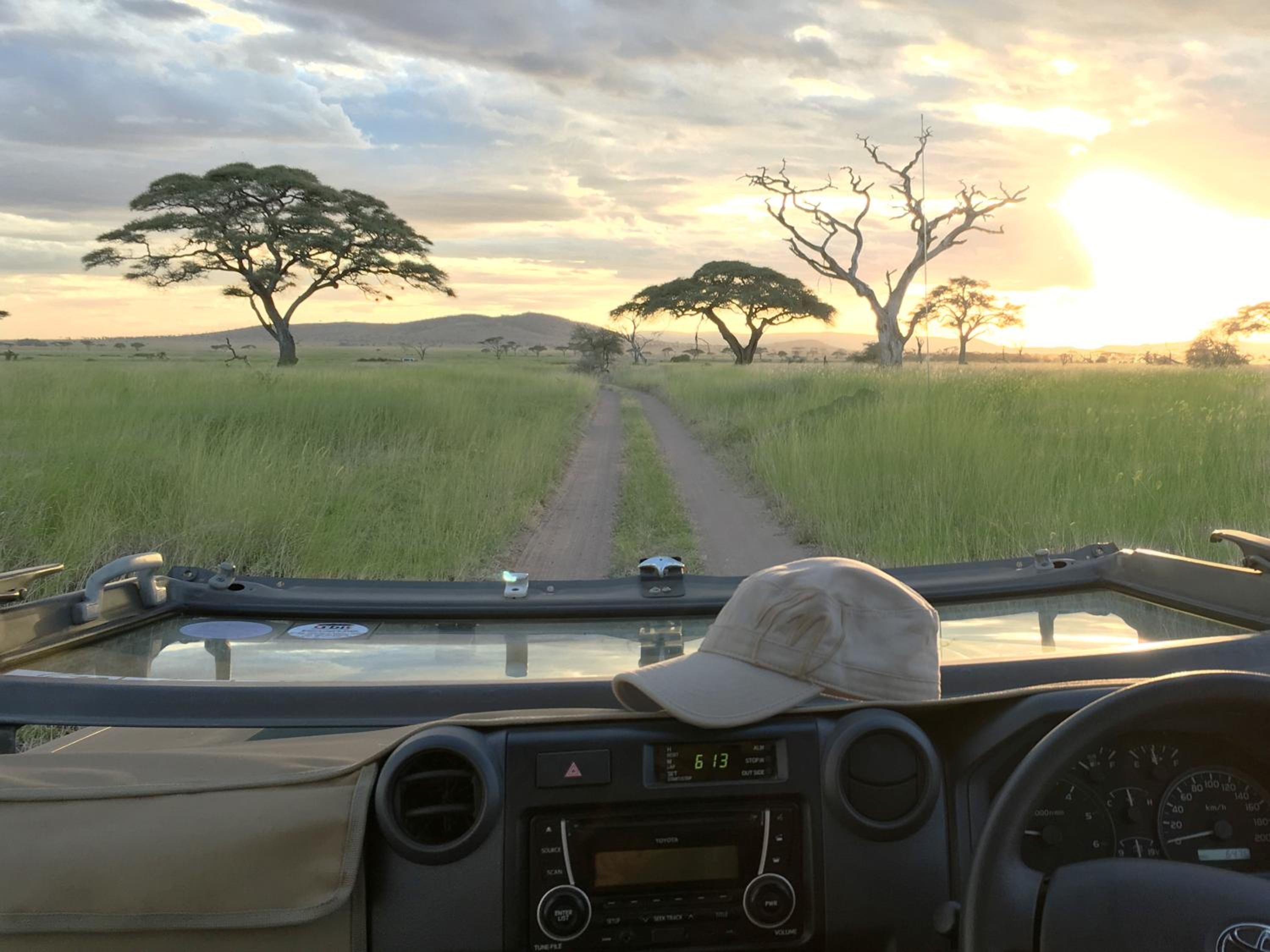 One Nature Nyaruswiga Serengeti
