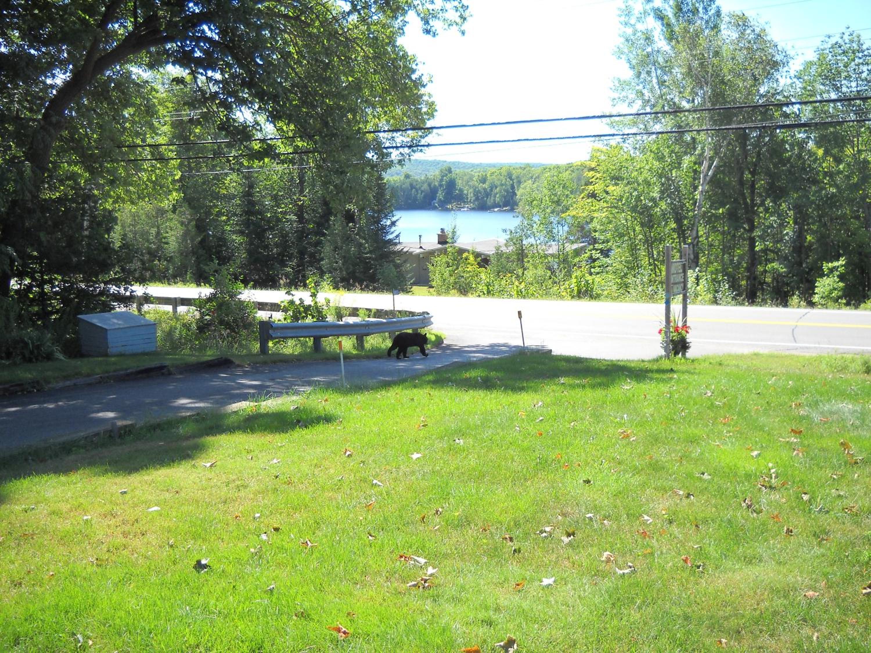 Lakeview Motel