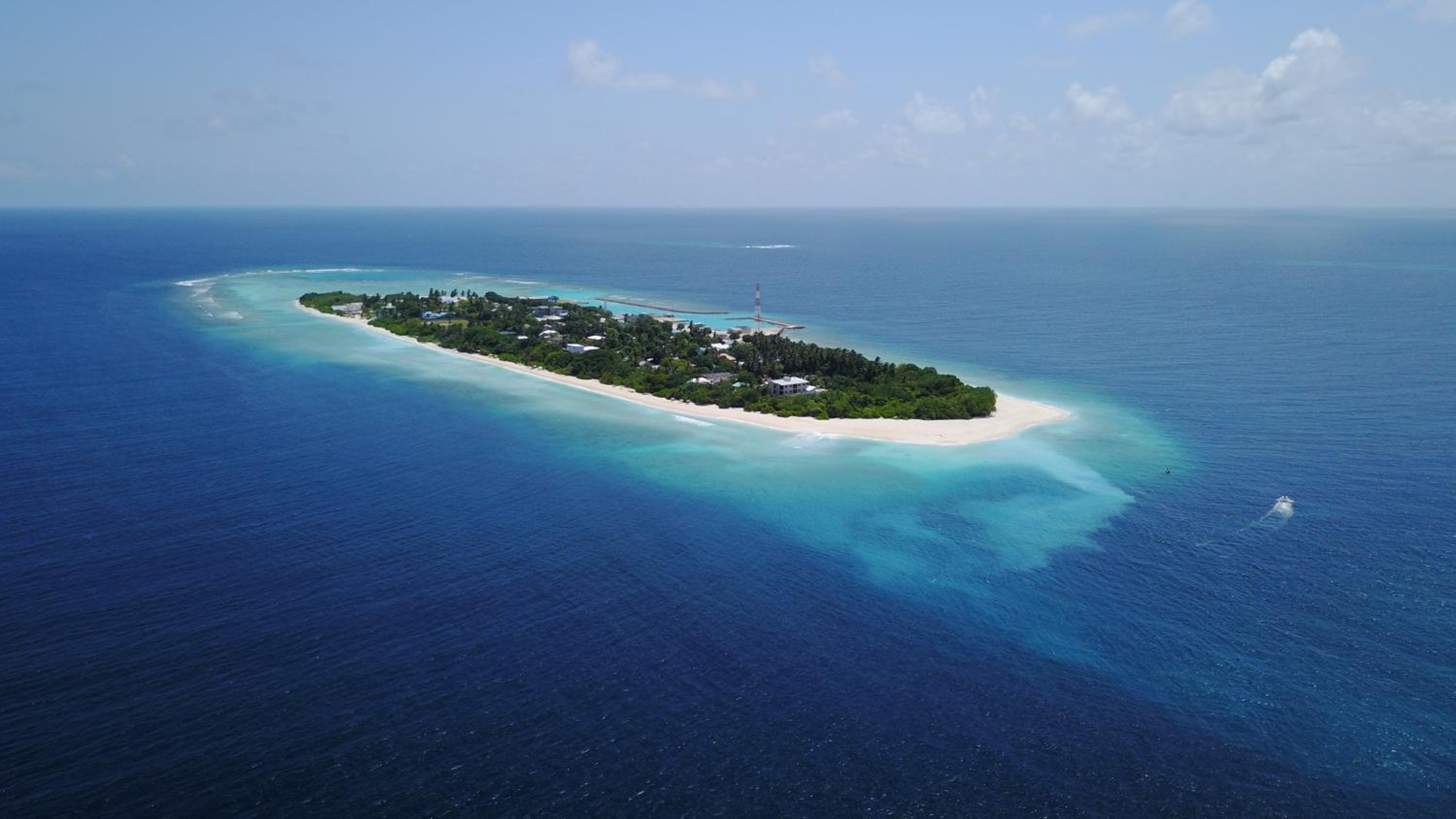 Beach Veli