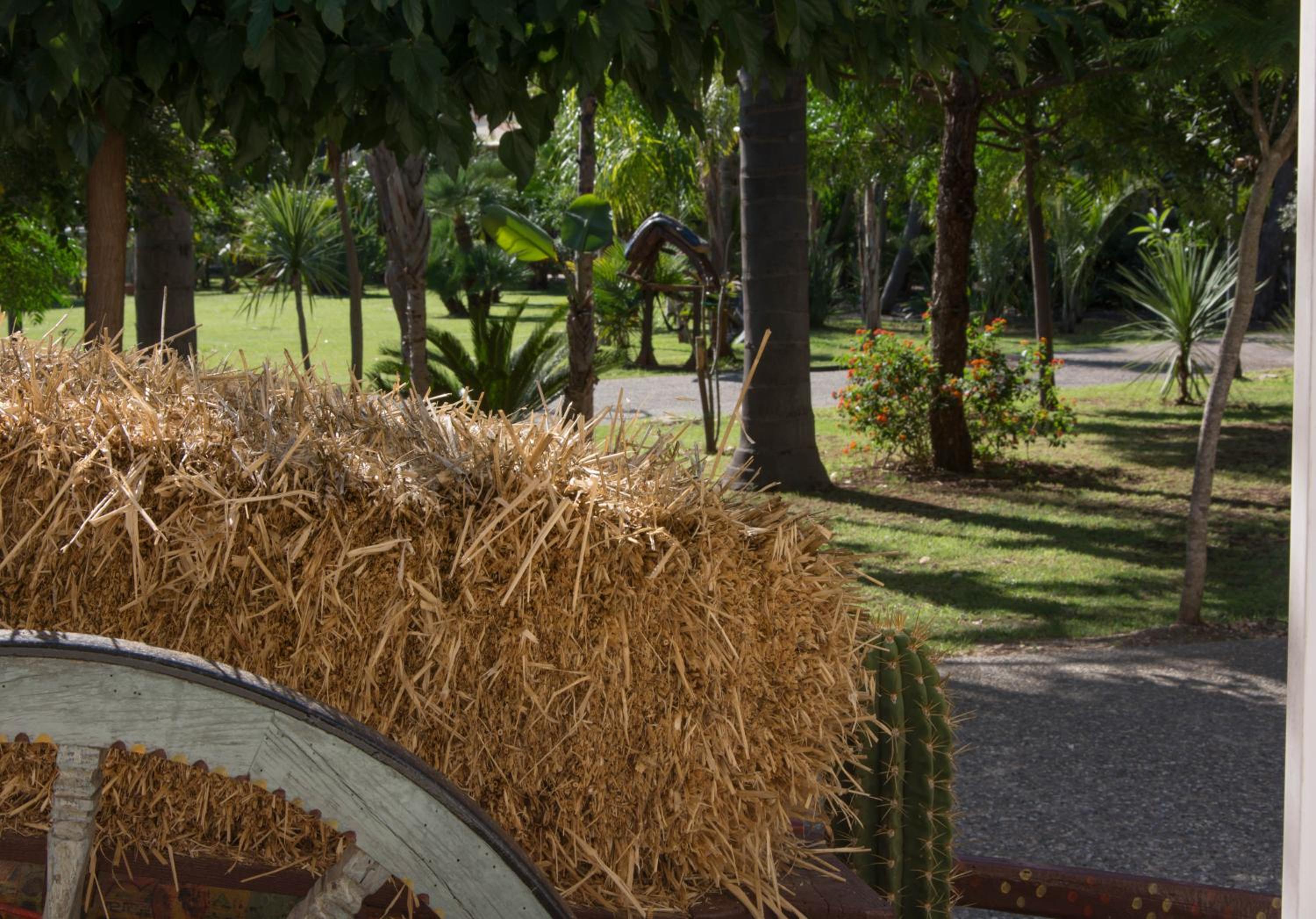Agriturismo Papyrus