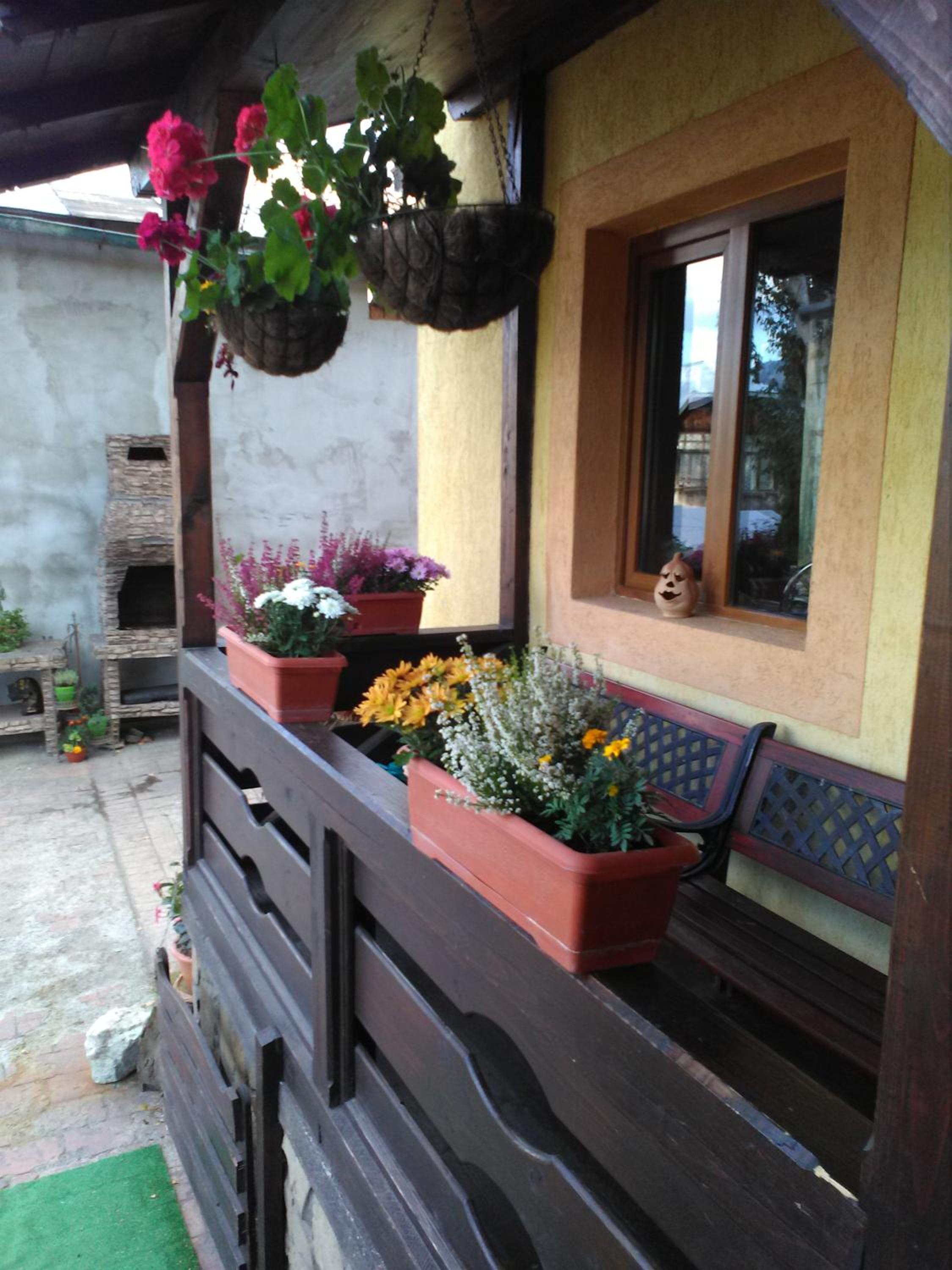 vila Dariana view 4