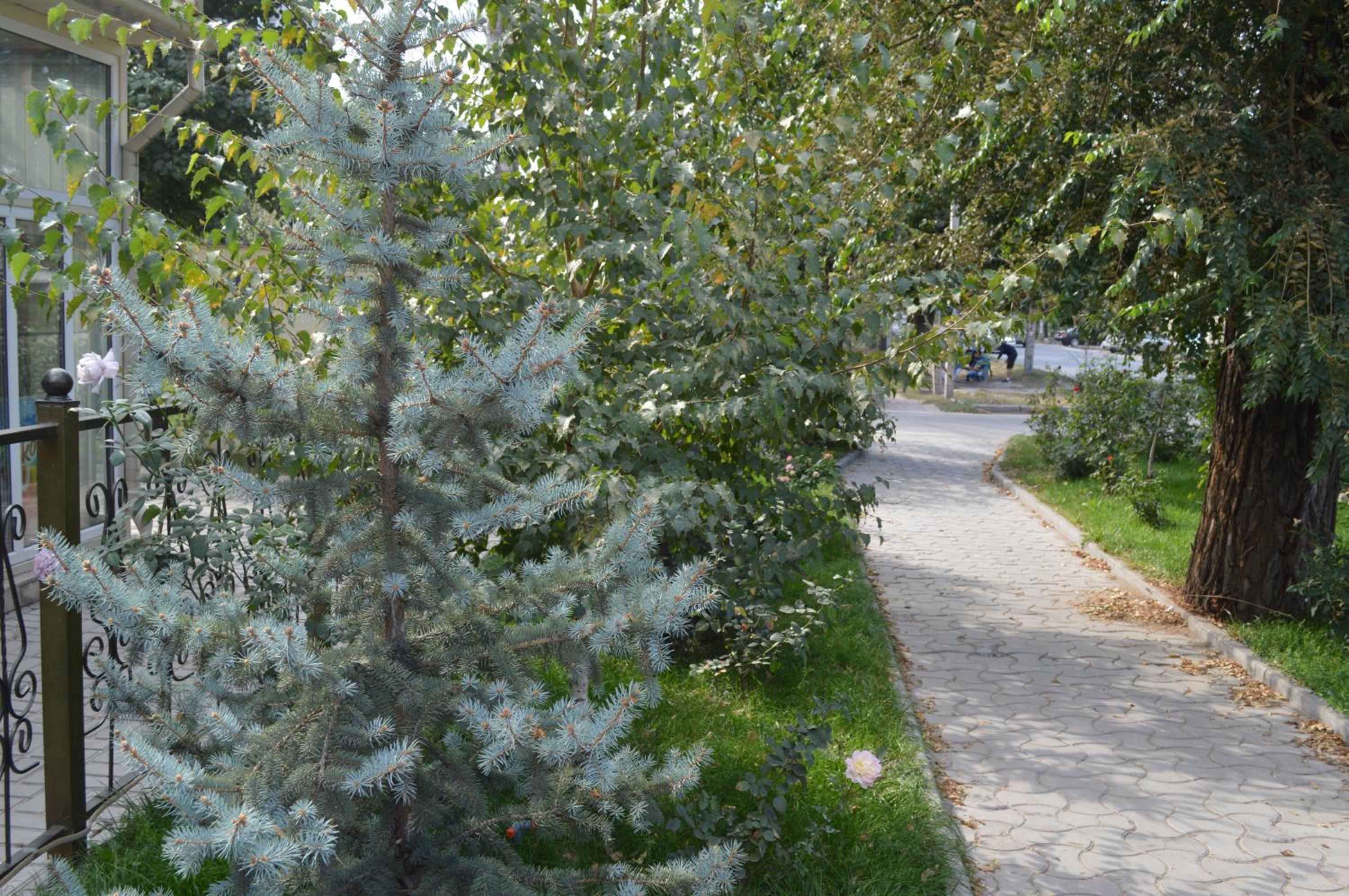 Photo 8